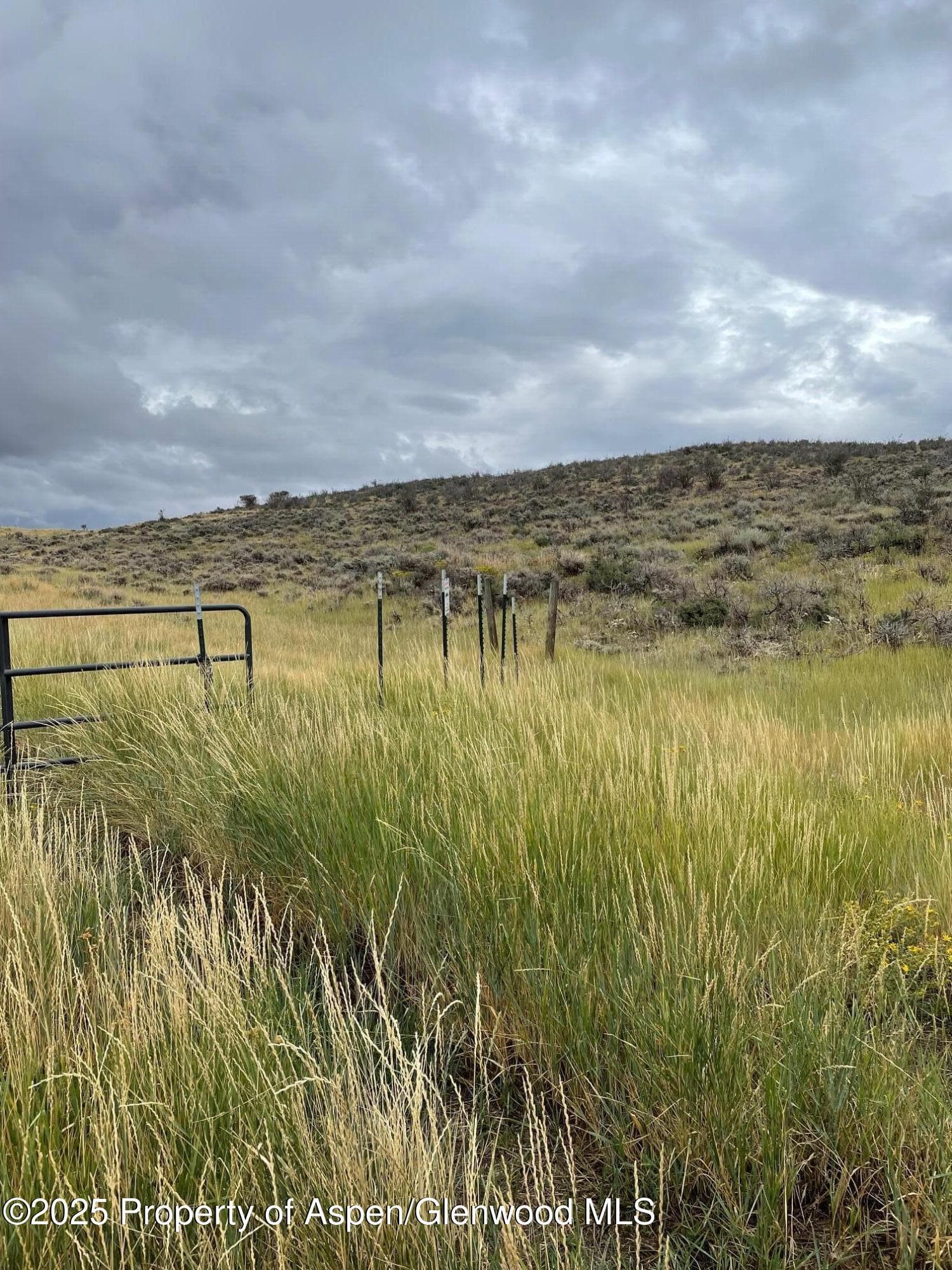 TBD Pine Ridge Trail, Craig, CO 81625 - Photo 2