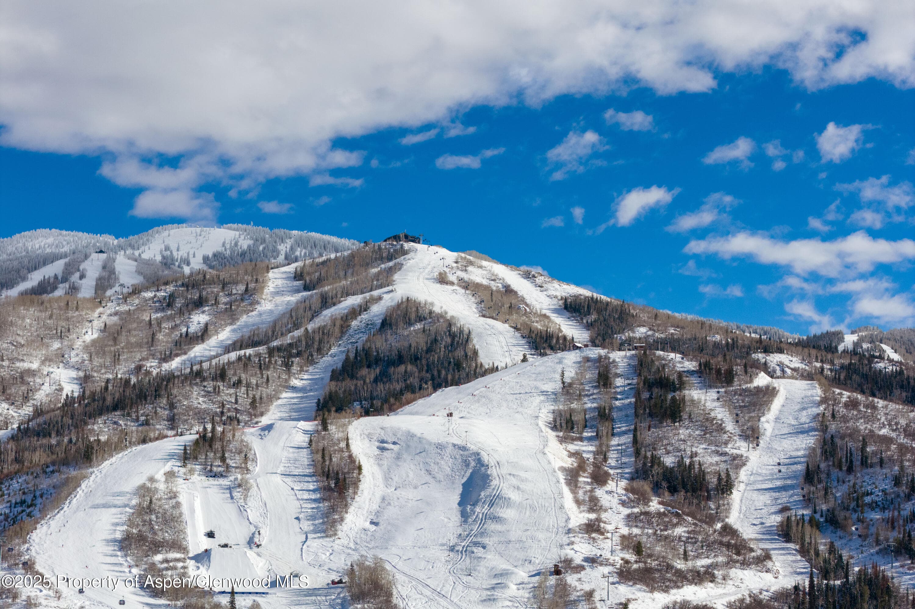 1855 Burgess Creek Road Unit #3 & 4, Steamboat, CO 80487 - Photo 4
