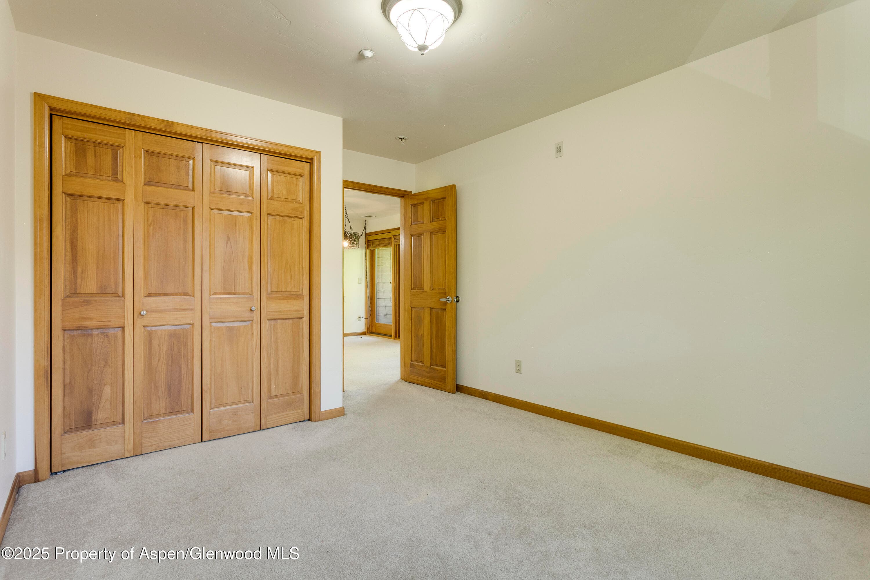 201 14th Street 300, Glenwood Springs, CO 81601 - Photo 11