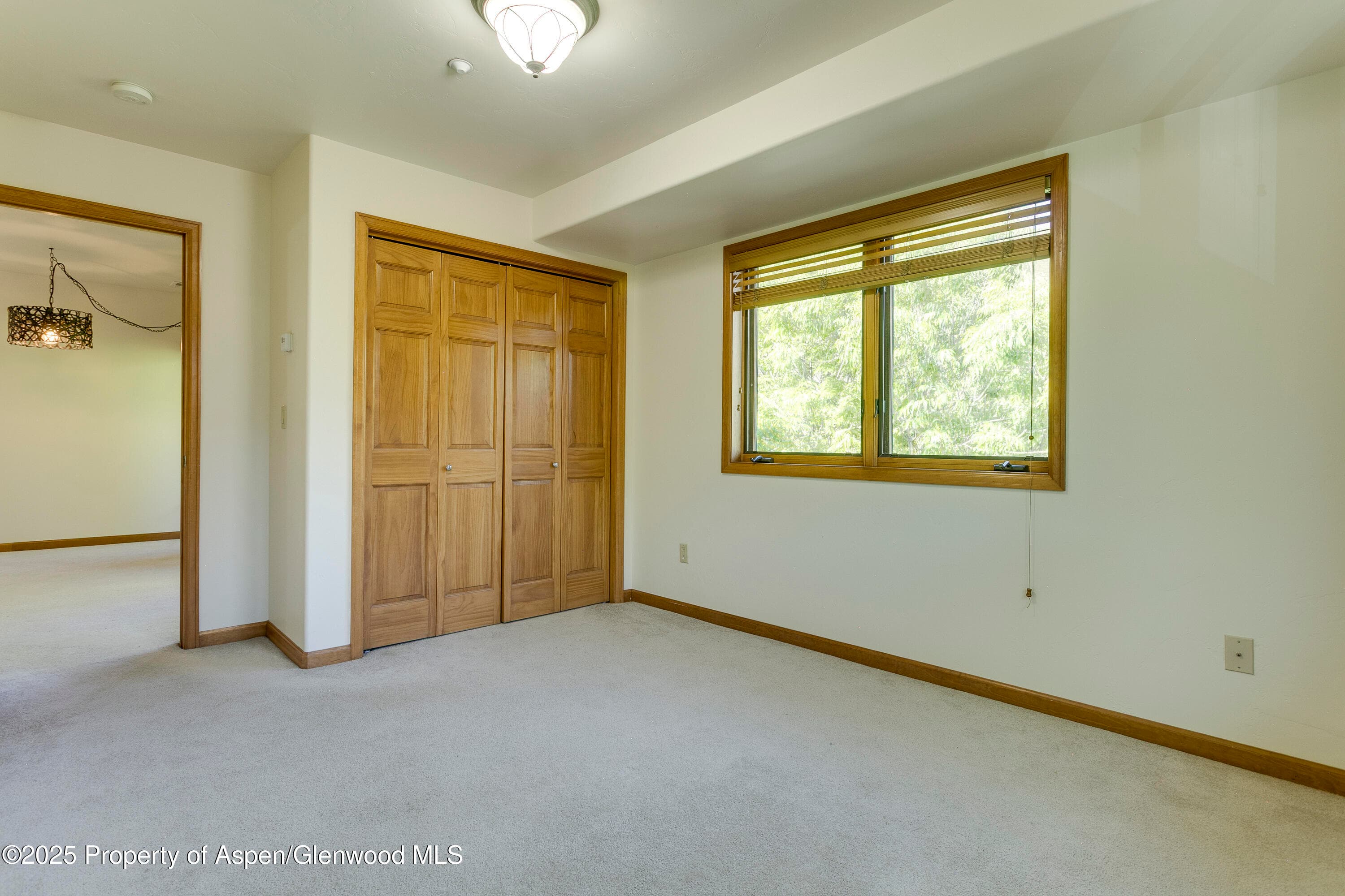 201 14th Street 300, Glenwood Springs, CO 81601 - Photo 14