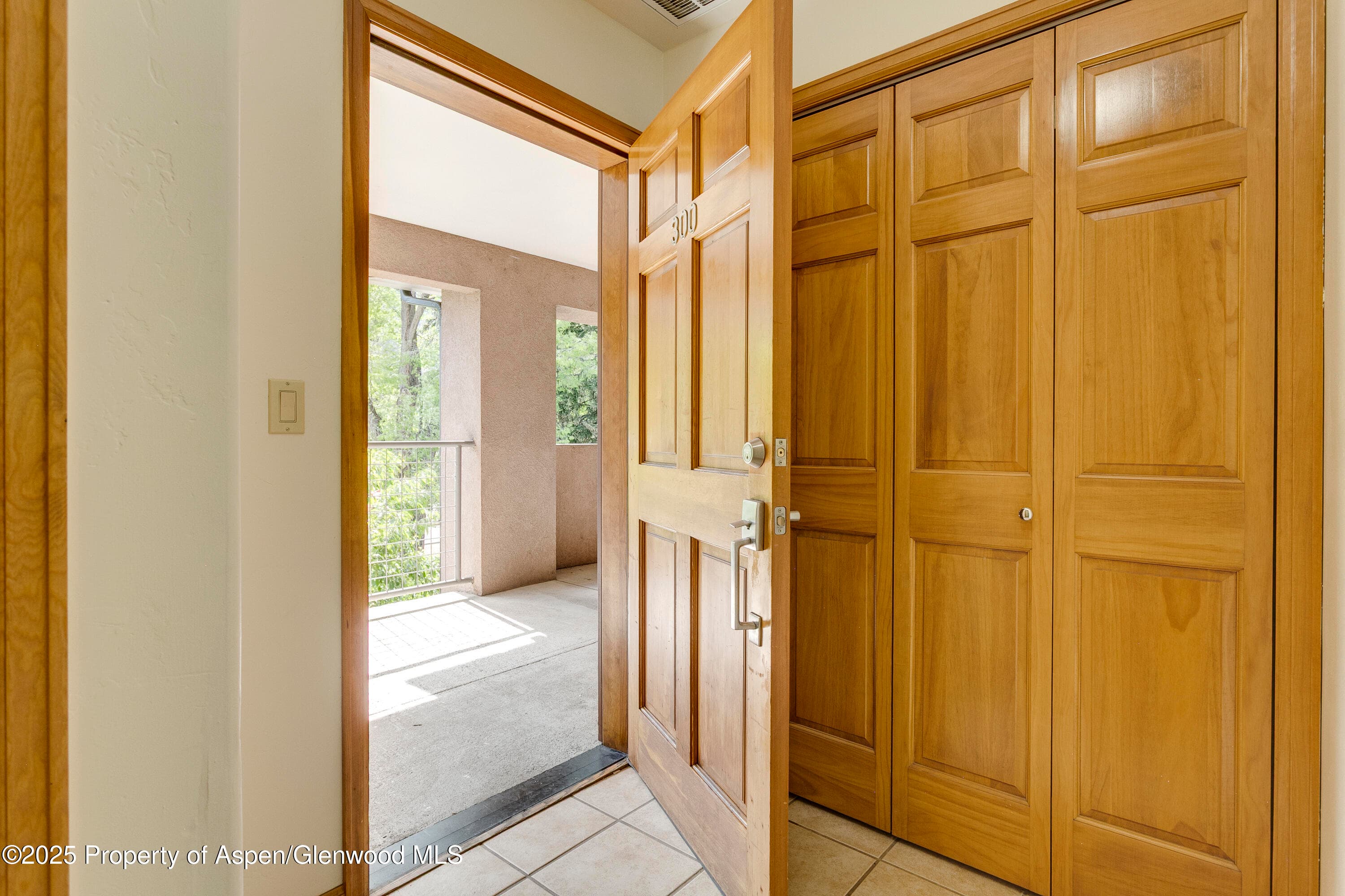 201 14th Street 300, Glenwood Springs, CO 81601 - Photo 2