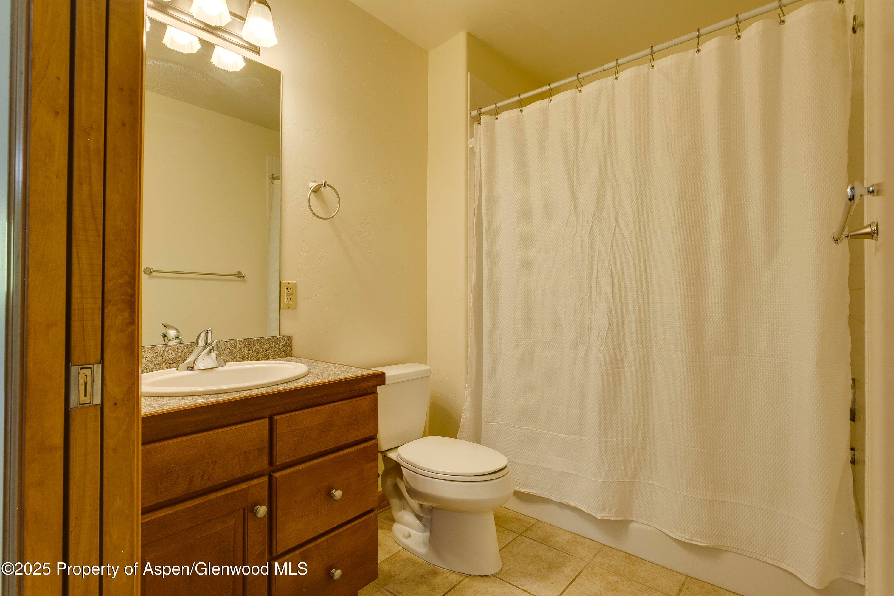 201 14th Street 300, Glenwood Springs, CO 81601 - Photo 15