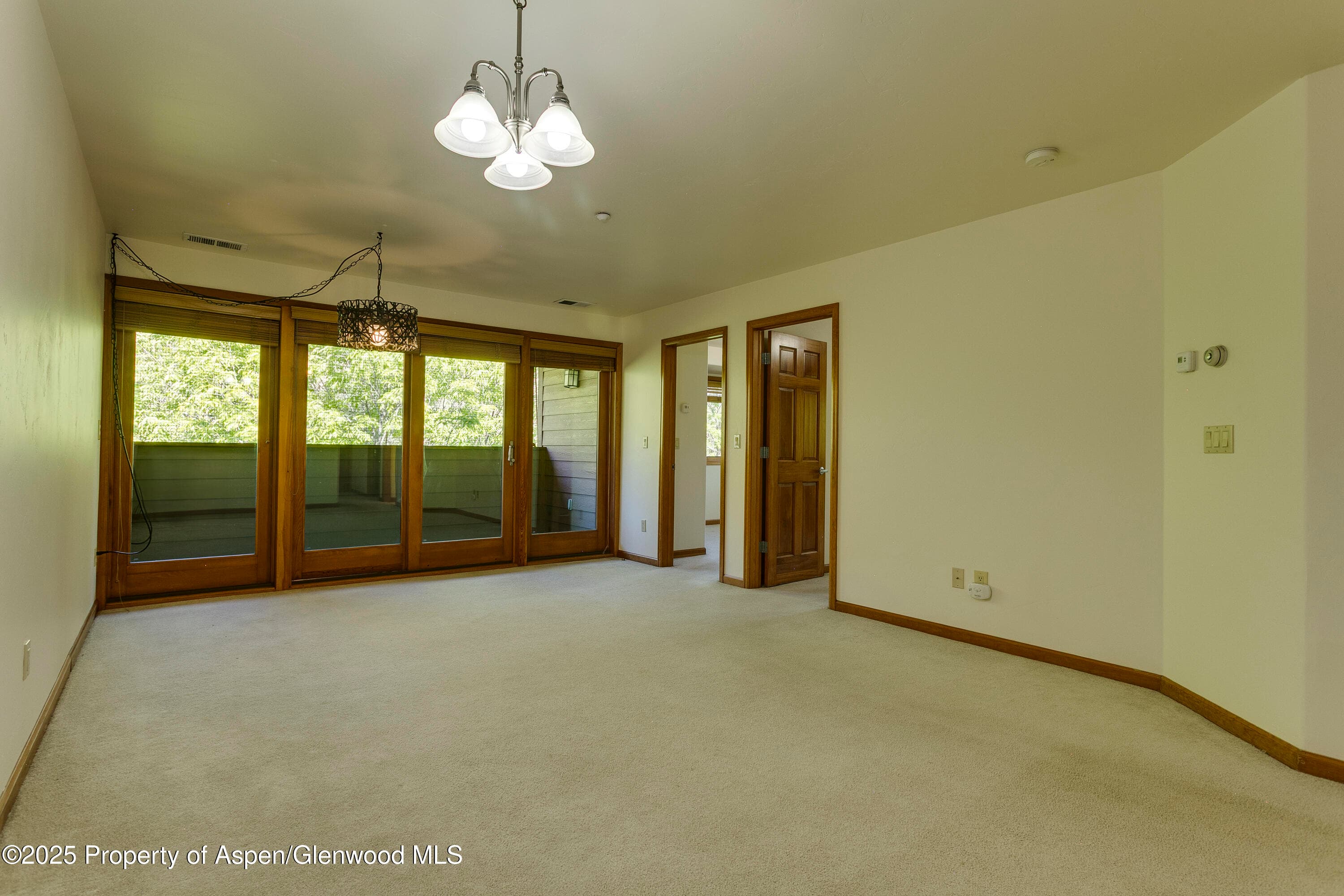 201 14th Street 300, Glenwood Springs, CO 81601 - Photo 6