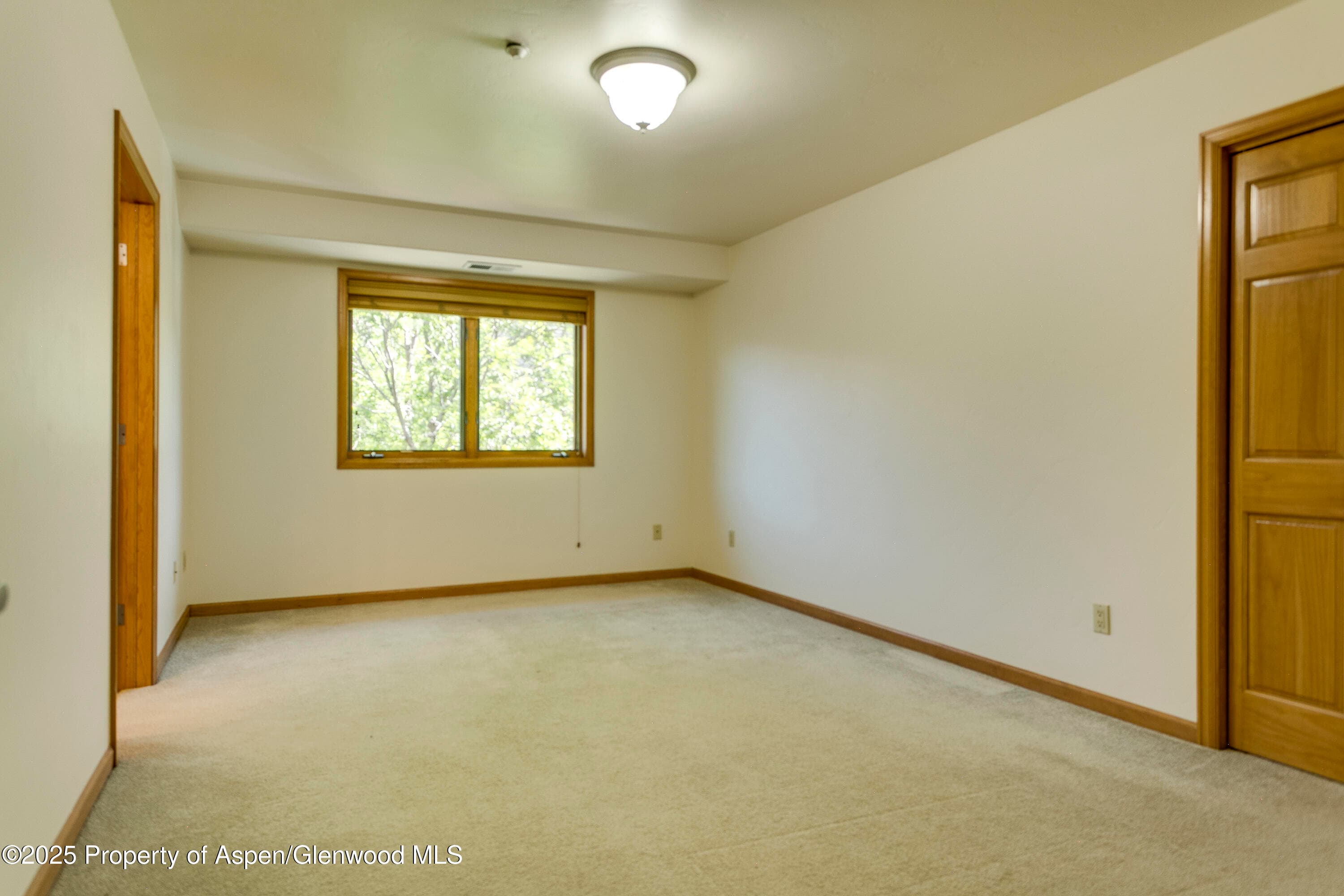 201 14th Street 300, Glenwood Springs, CO 81601 - Photo 7