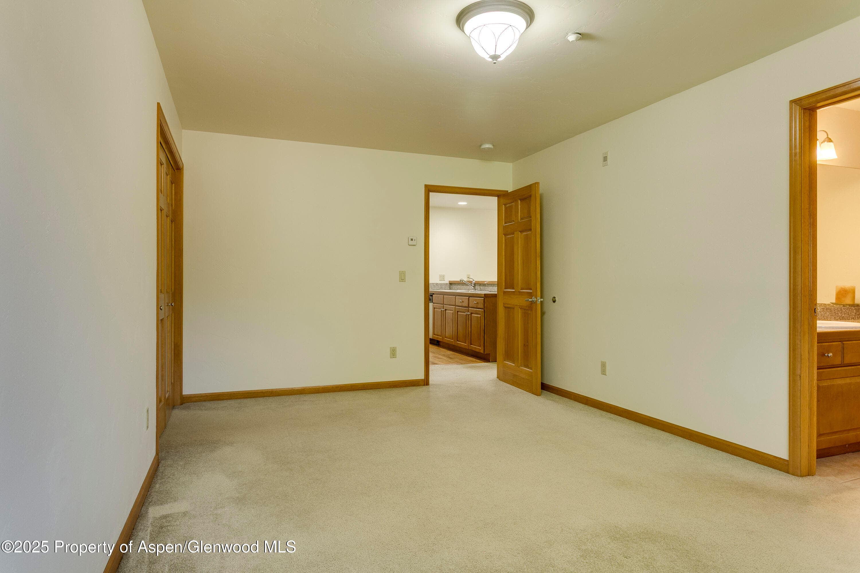 201 14th Street 300, Glenwood Springs, CO 81601 - Photo 8
