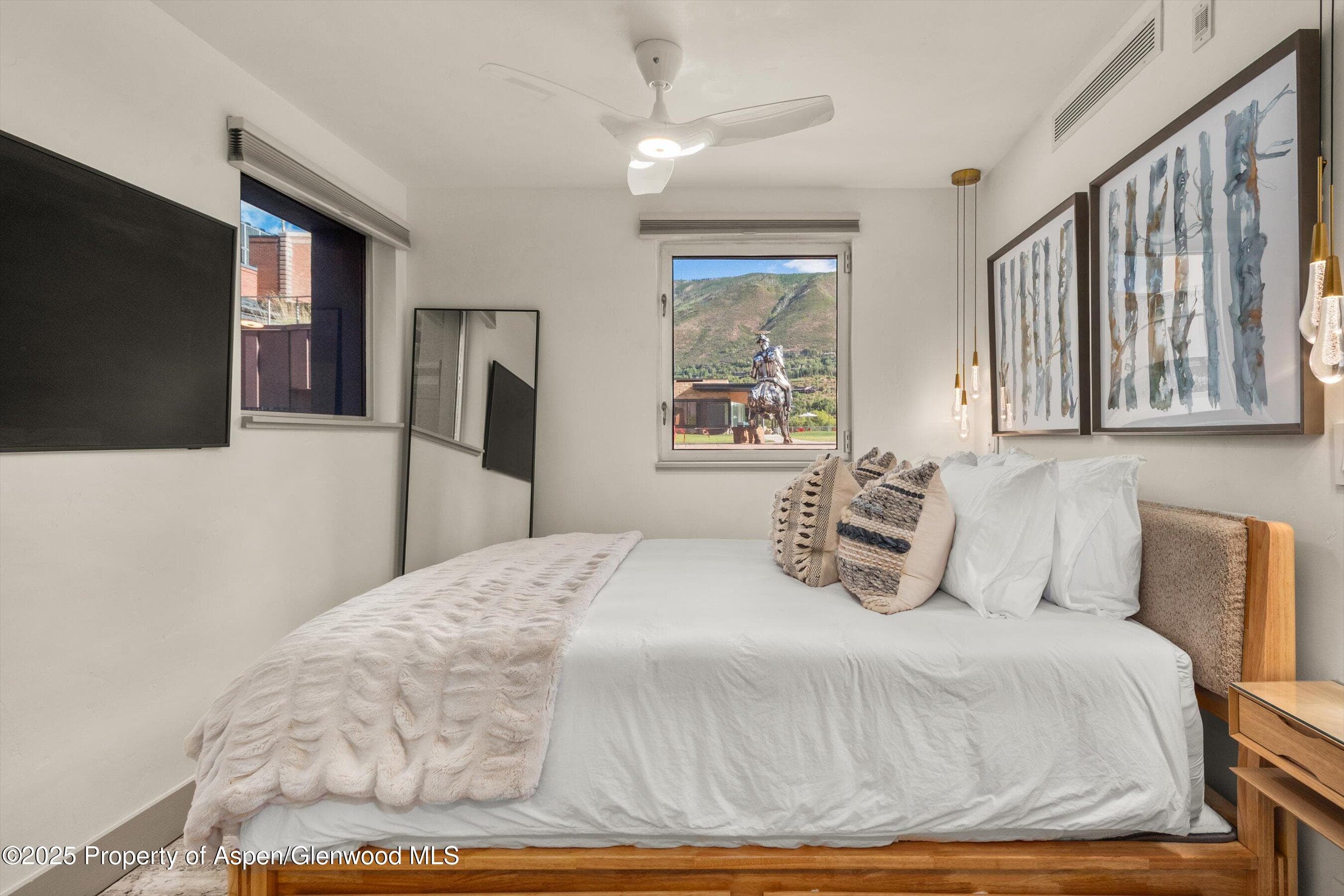 434 E Main Street 104, Aspen, CO 81611 - Photo 12