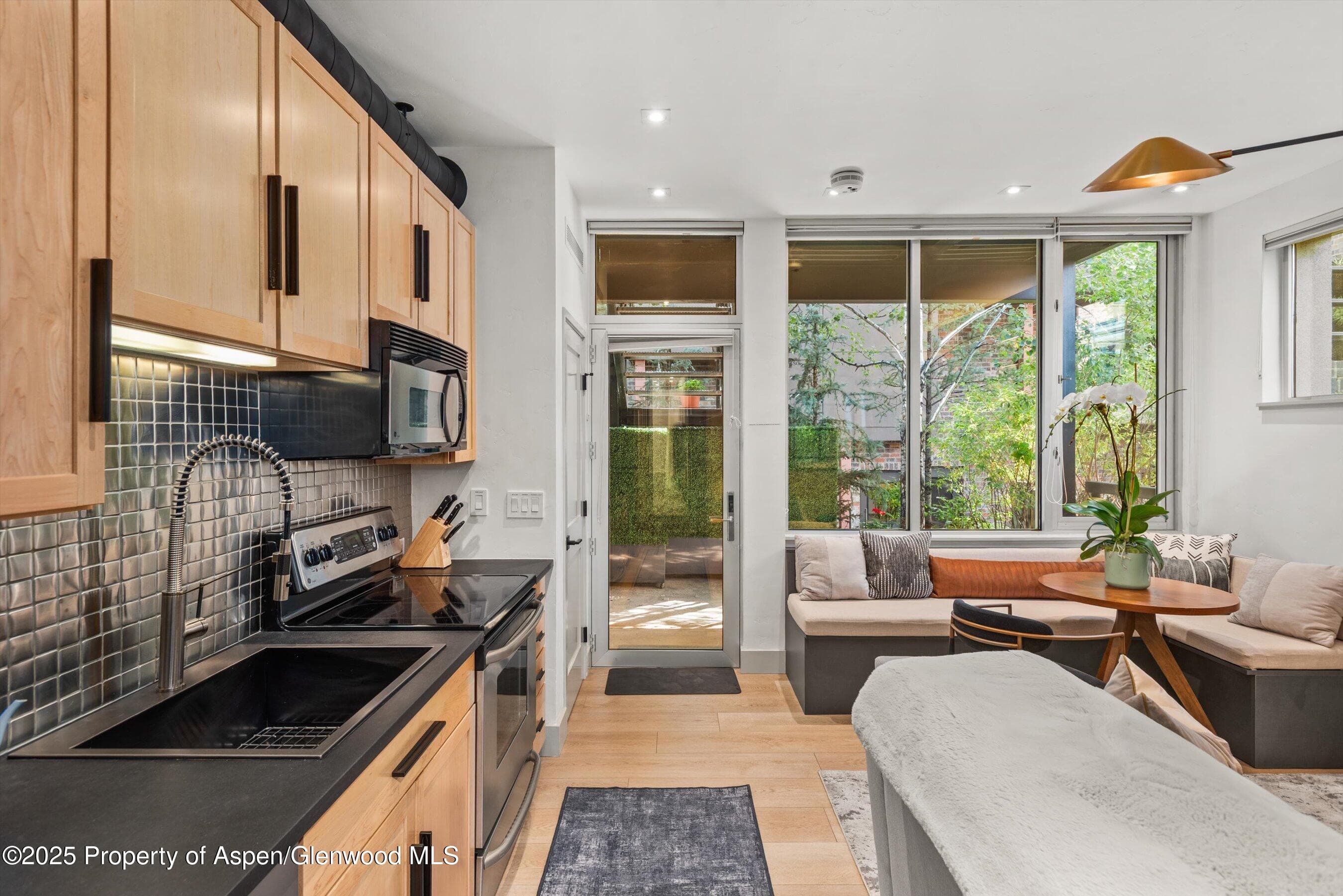 434 E Main Street 104, Aspen, CO 81611 - Photo 9