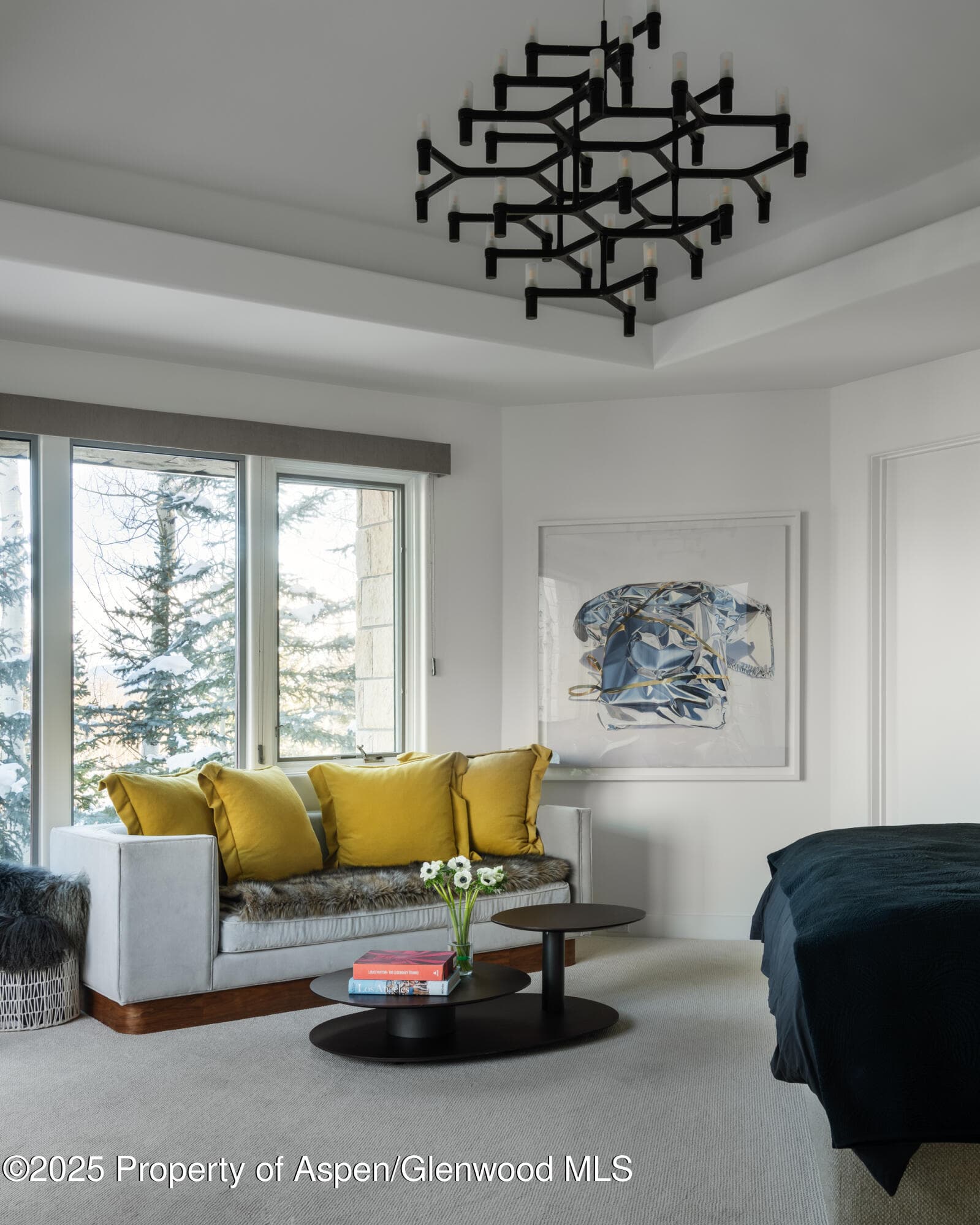 189 Aspen Way, Snowmass Village, CO 81615 - Photo 14
