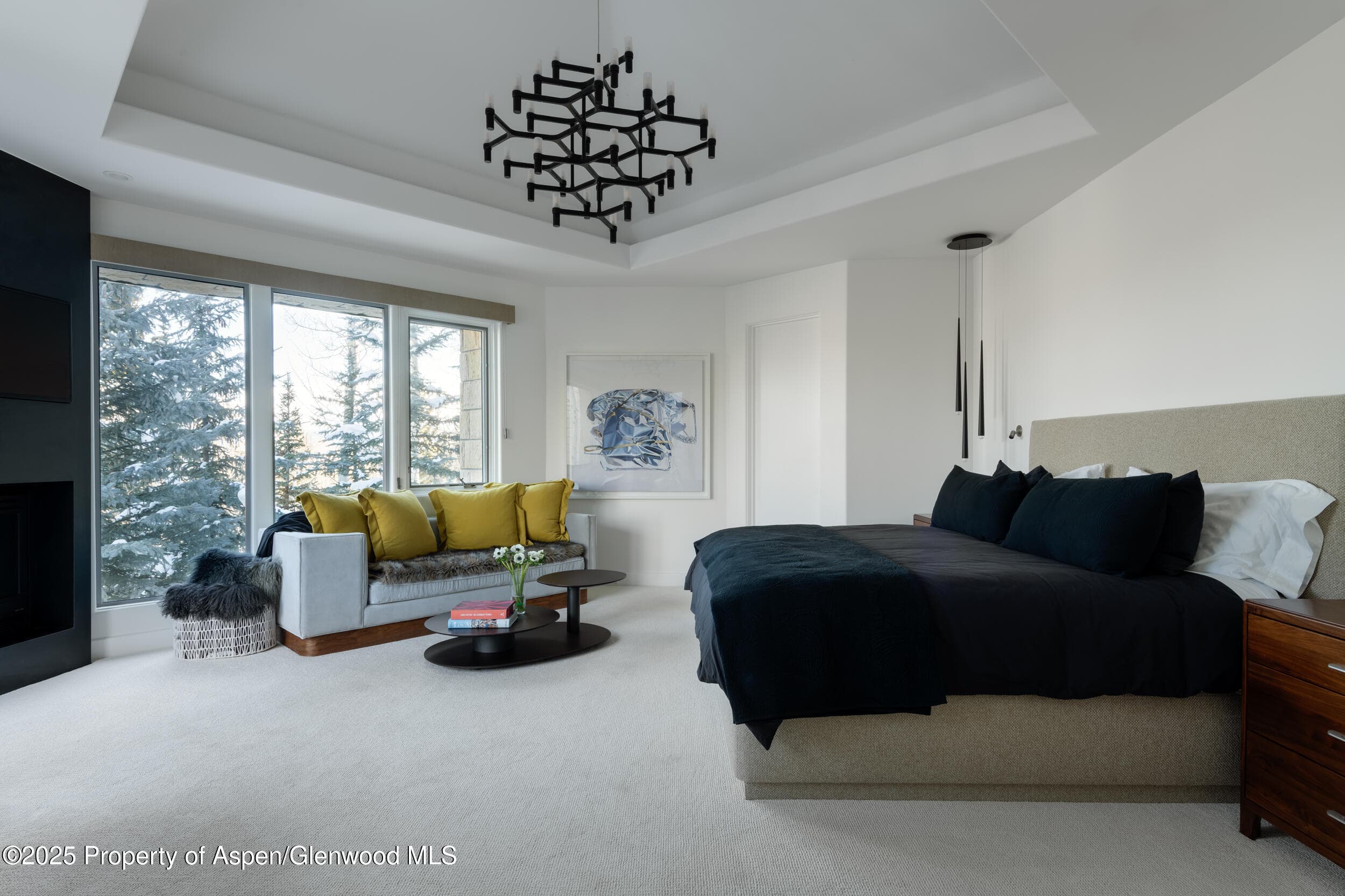 189 Aspen Way, Snowmass Village, CO 81615 - Photo 13