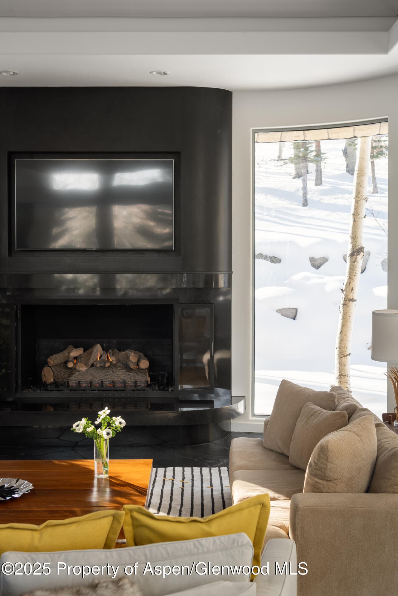 189 Aspen Way, Snowmass Village, CO 81615 - Photo 8