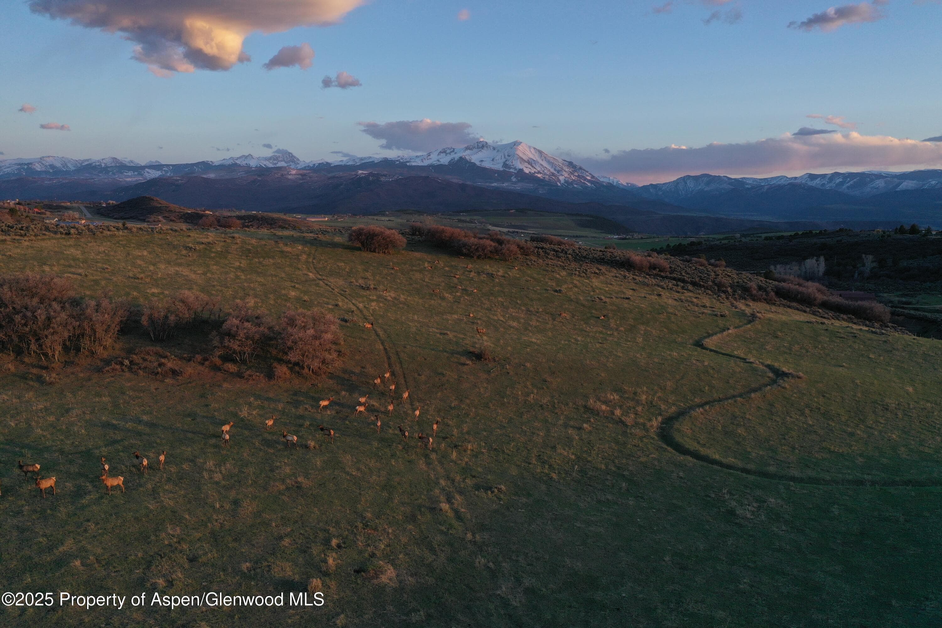 TBD County Road 100, Carbondale, CO 81623 - Photo 6