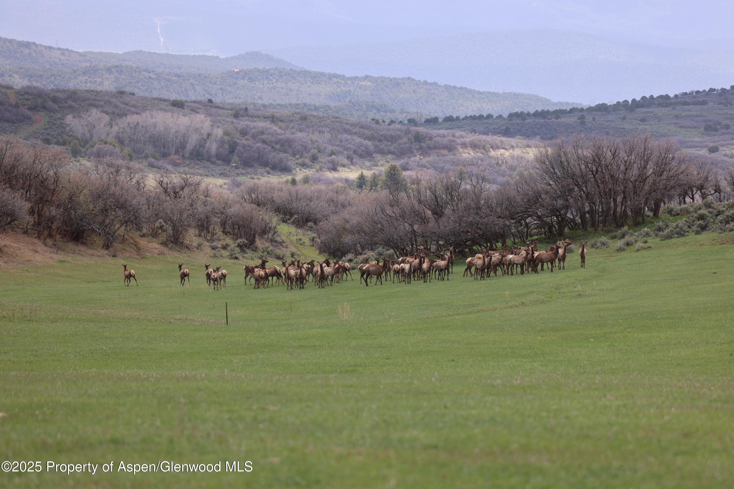 TBD County Road 100, Carbondale, CO 81623 - Photo 8