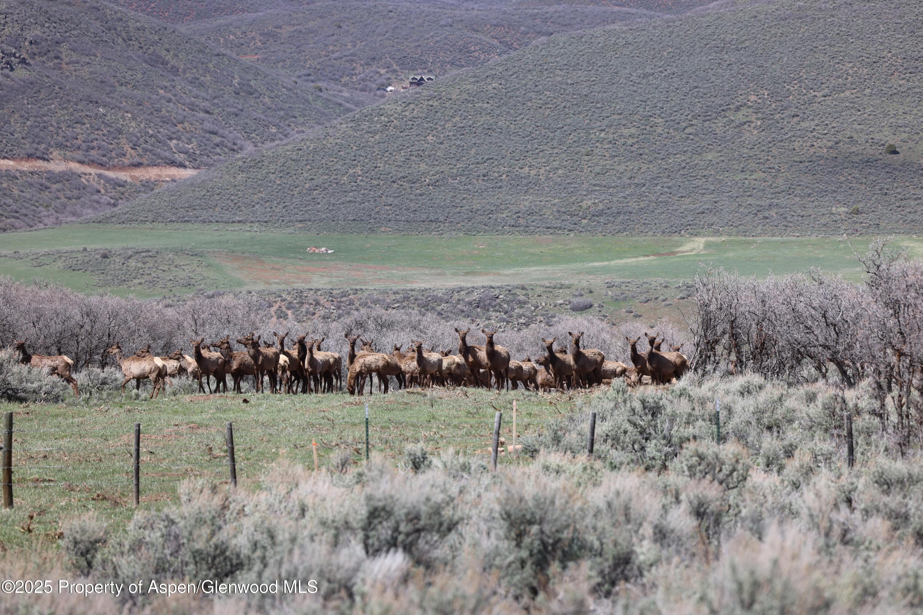 TBD County Road 100, Carbondale, CO 81623 - Photo 9