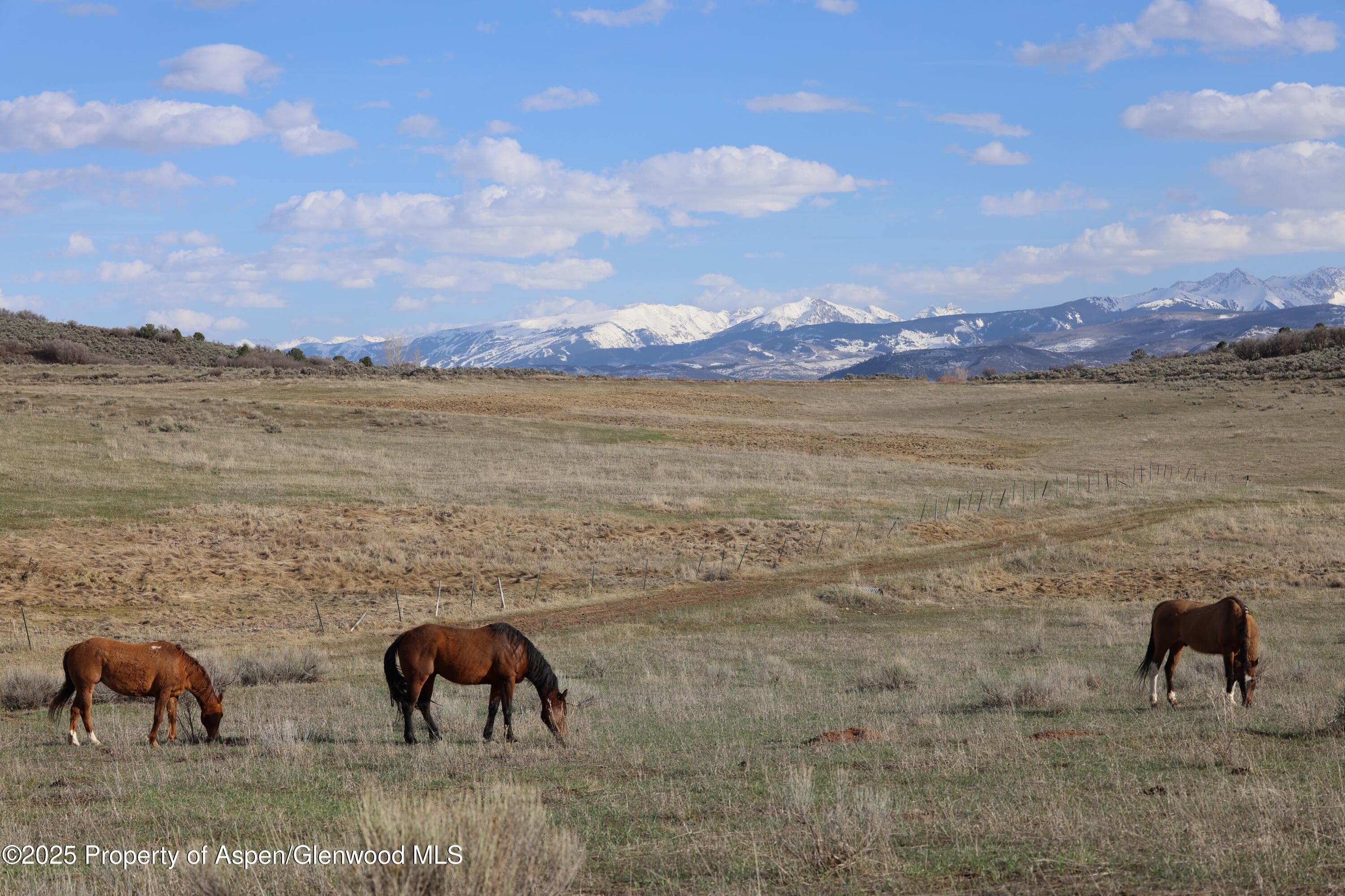 TBD County Road 100, Carbondale, CO 81623 - Photo 12