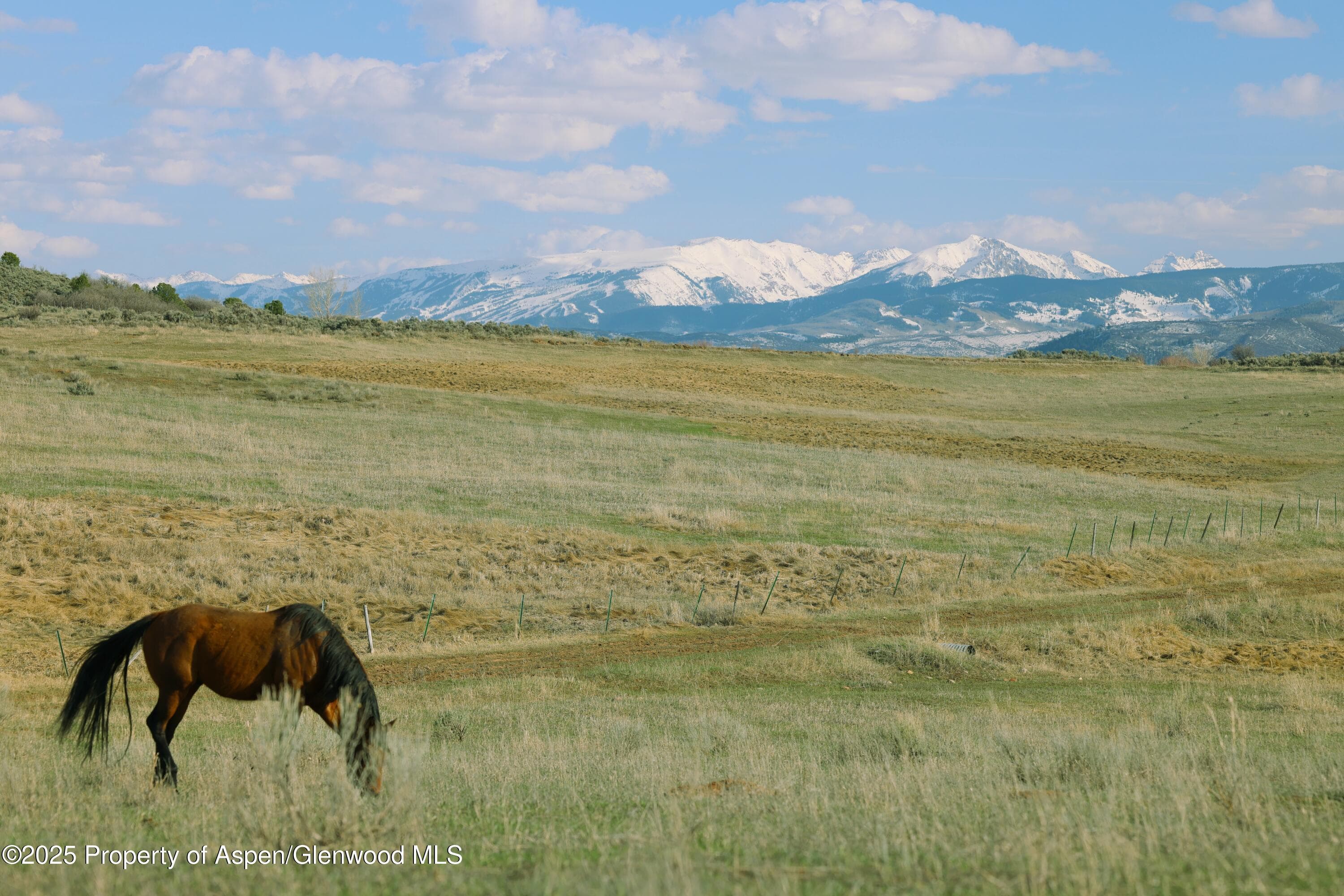TBD County Road 100, Carbondale, CO 81623 - Photo 13