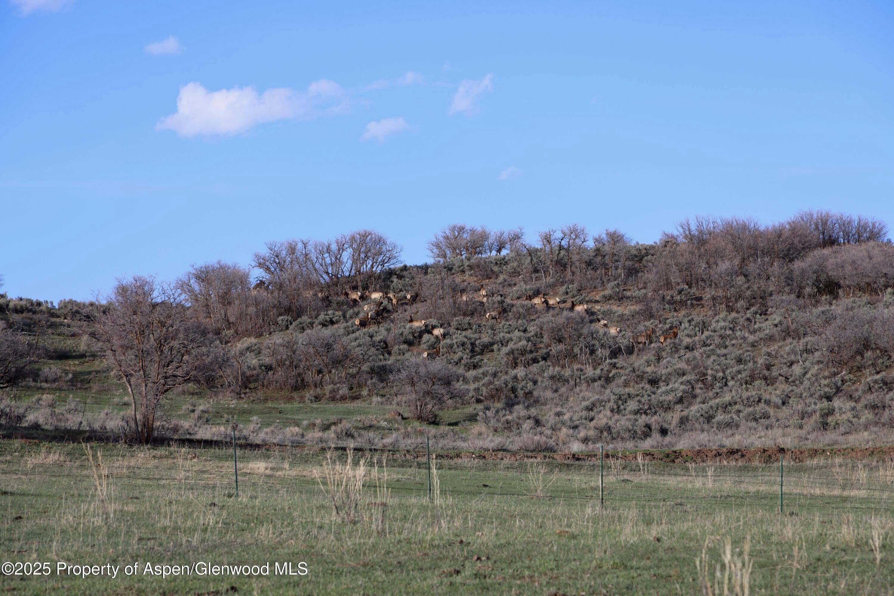 TBD County Road 100, Carbondale, CO 81623 - Photo 16
