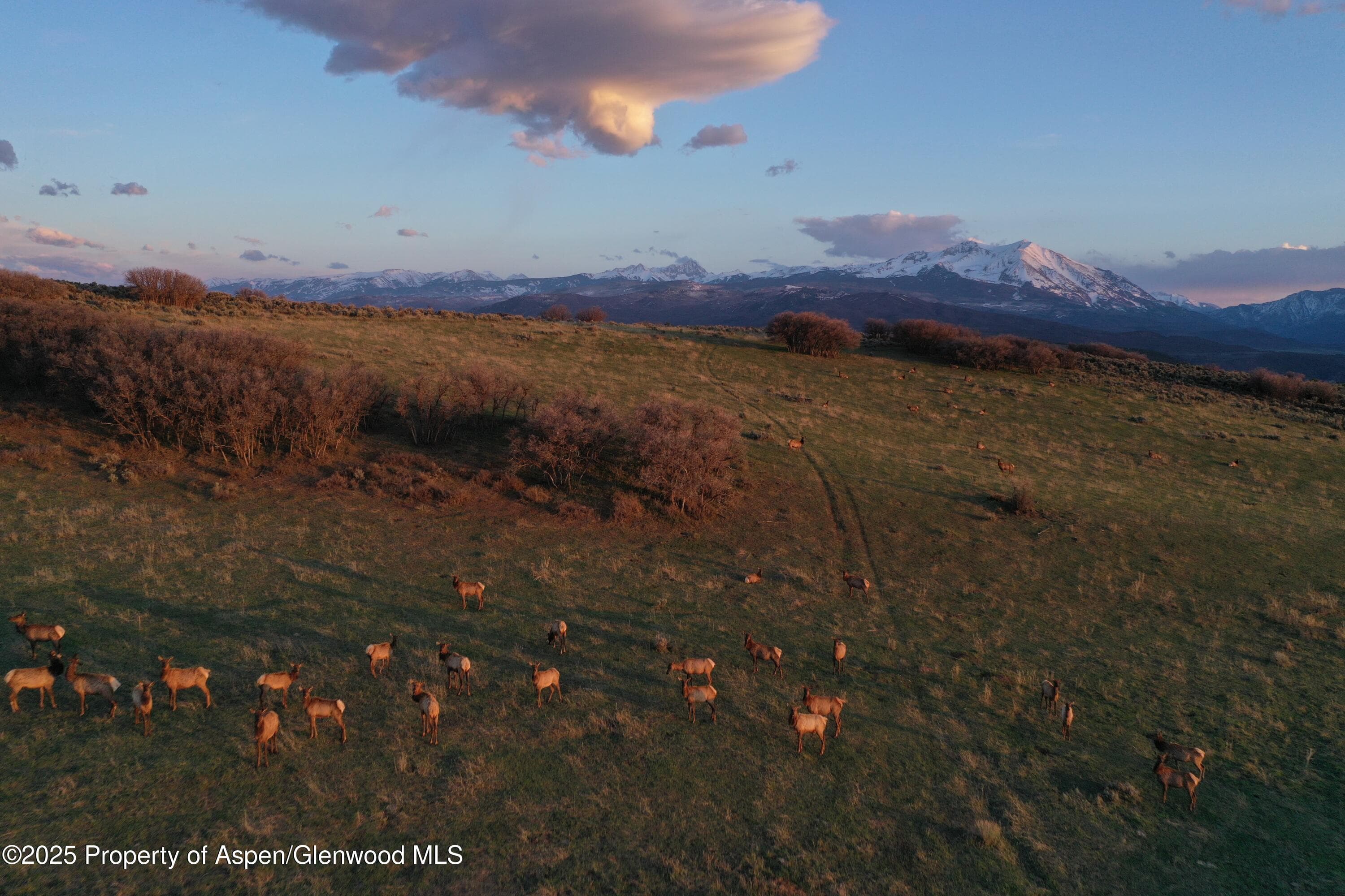 TBD County Road 100, Carbondale, CO 81623 - Photo 21