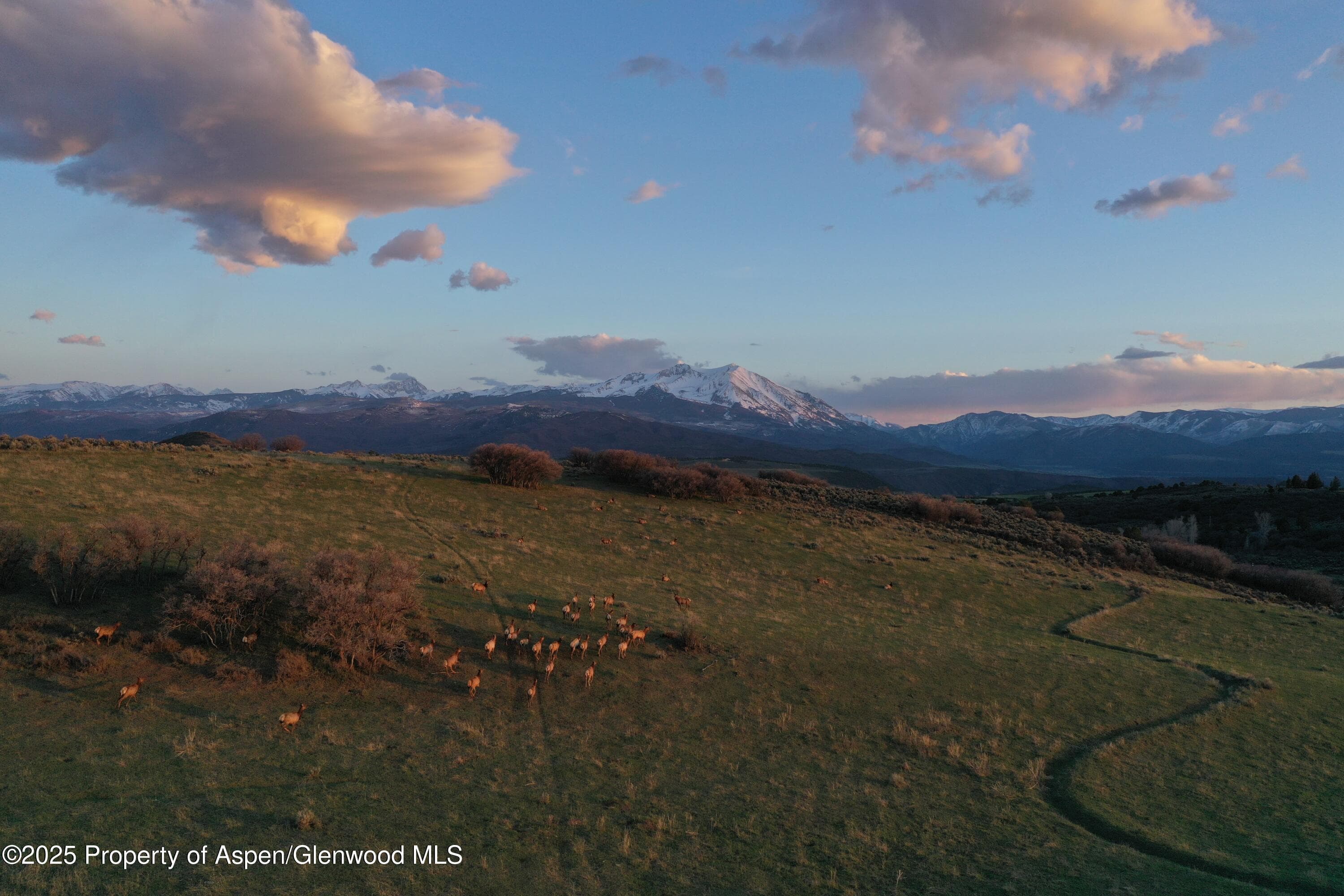 TBD County Road 100, Carbondale, CO 81623 - Photo 22