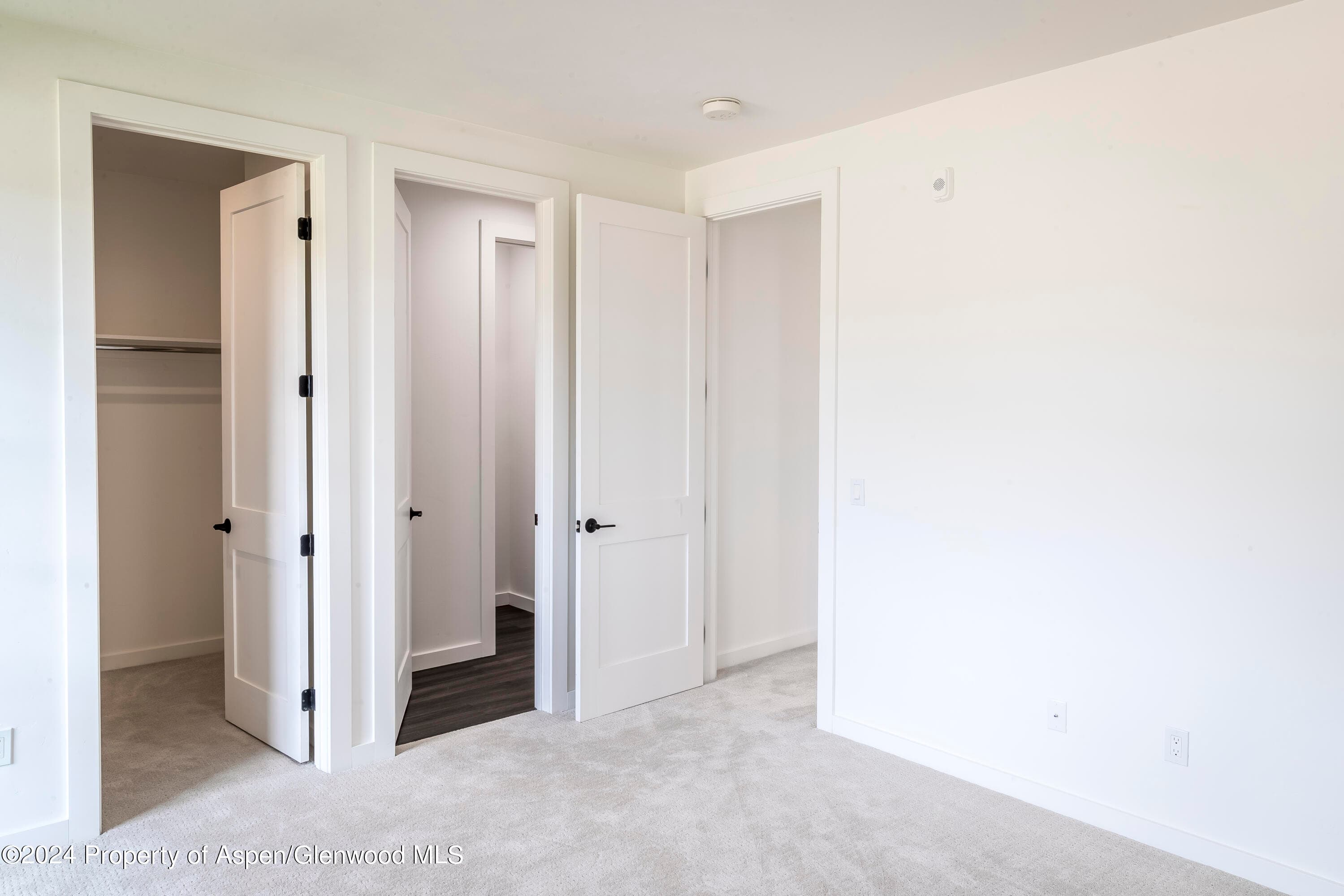 601 Little Cloud, New Castle, CO 81647 - Photo 8