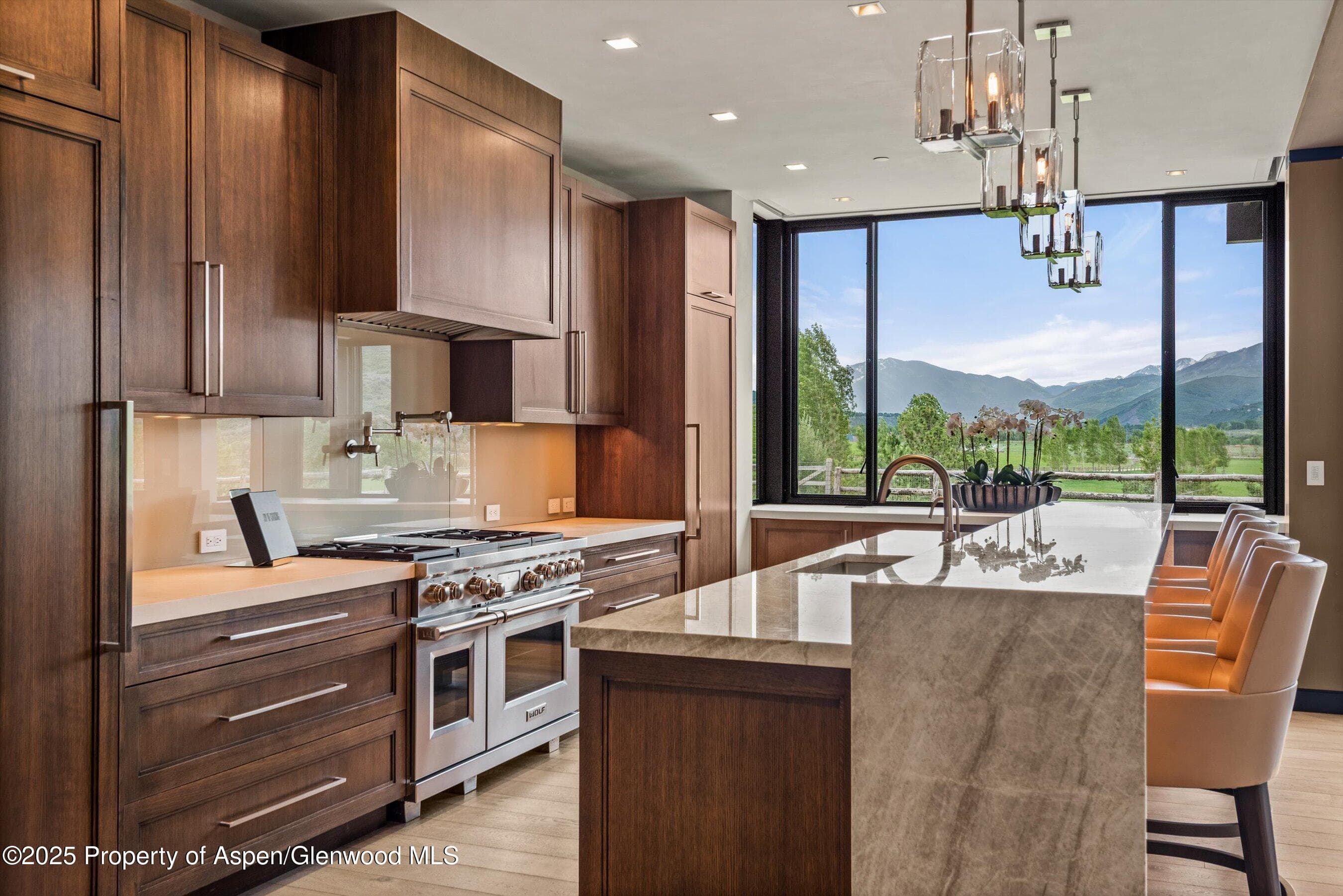 31 E Bourg Trail, Woody Creek, CO 81656 - Photo 10