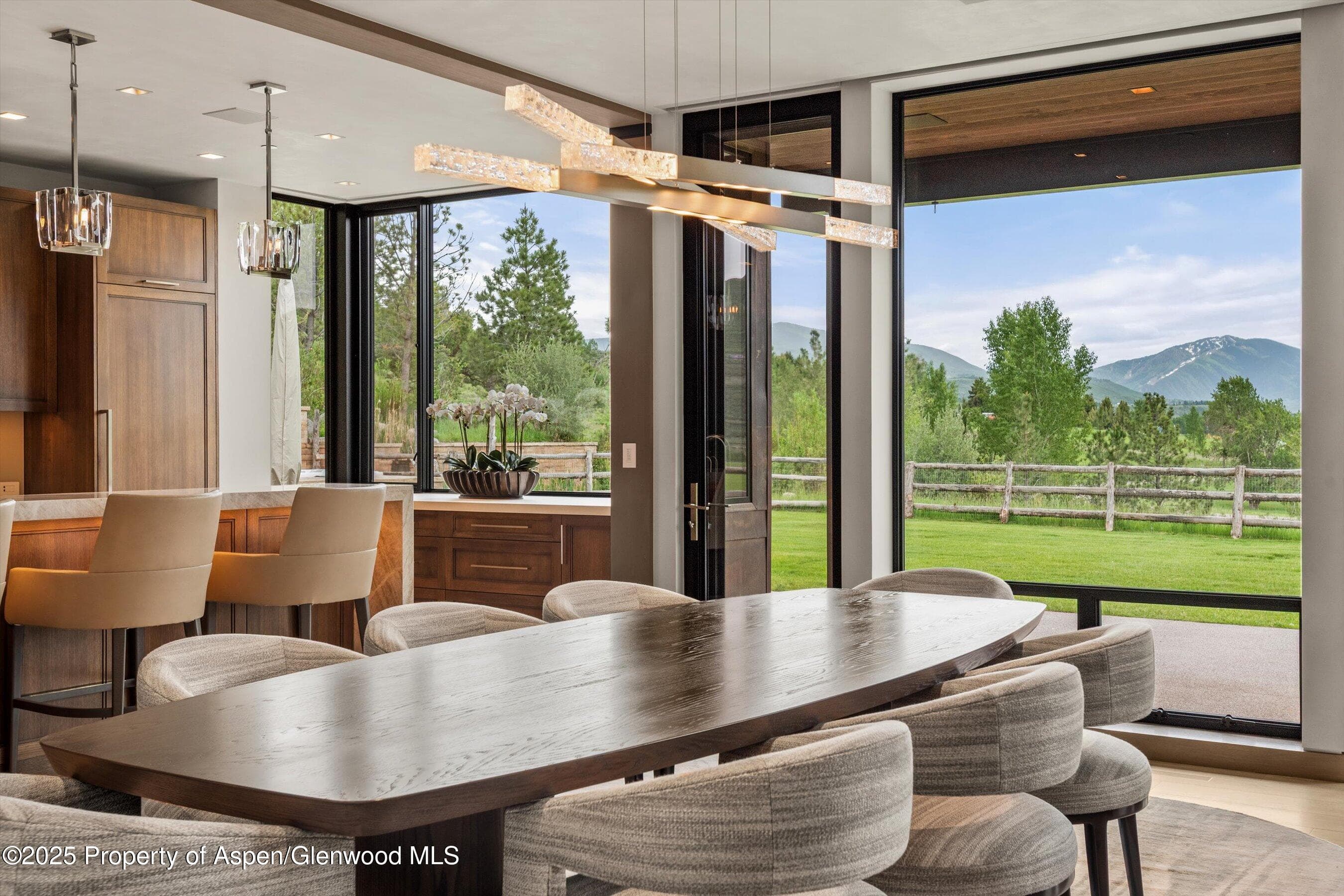 31 E Bourg Trail, Woody Creek, CO 81656 - Photo 9