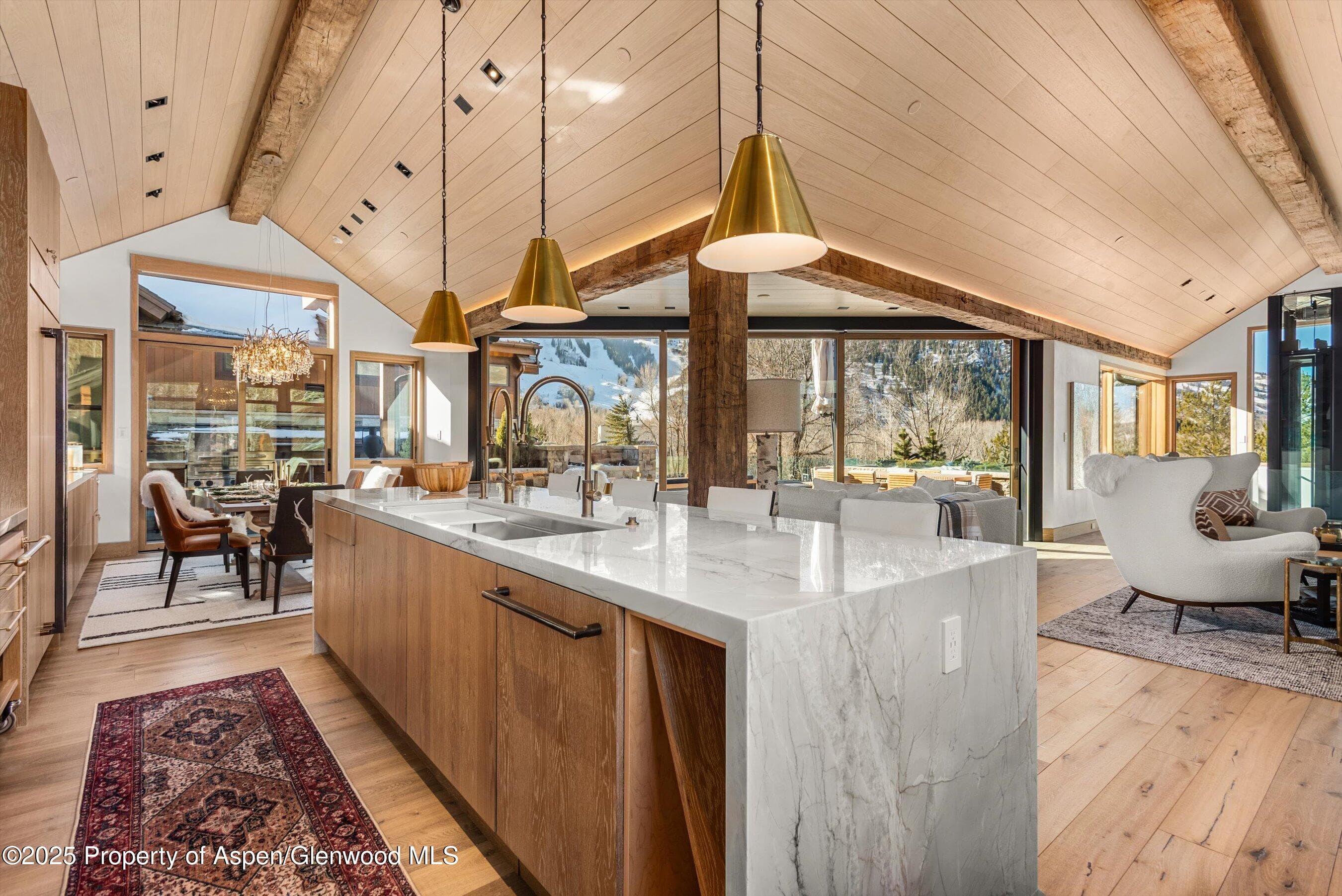 549 Walnut Street, Aspen, CO 81611 - Photo 6