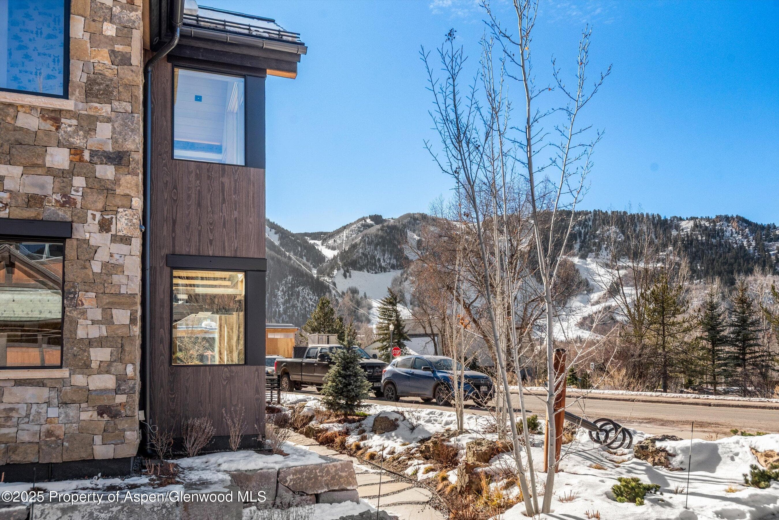 549 Walnut Street, Aspen, CO 81611 - Photo 40