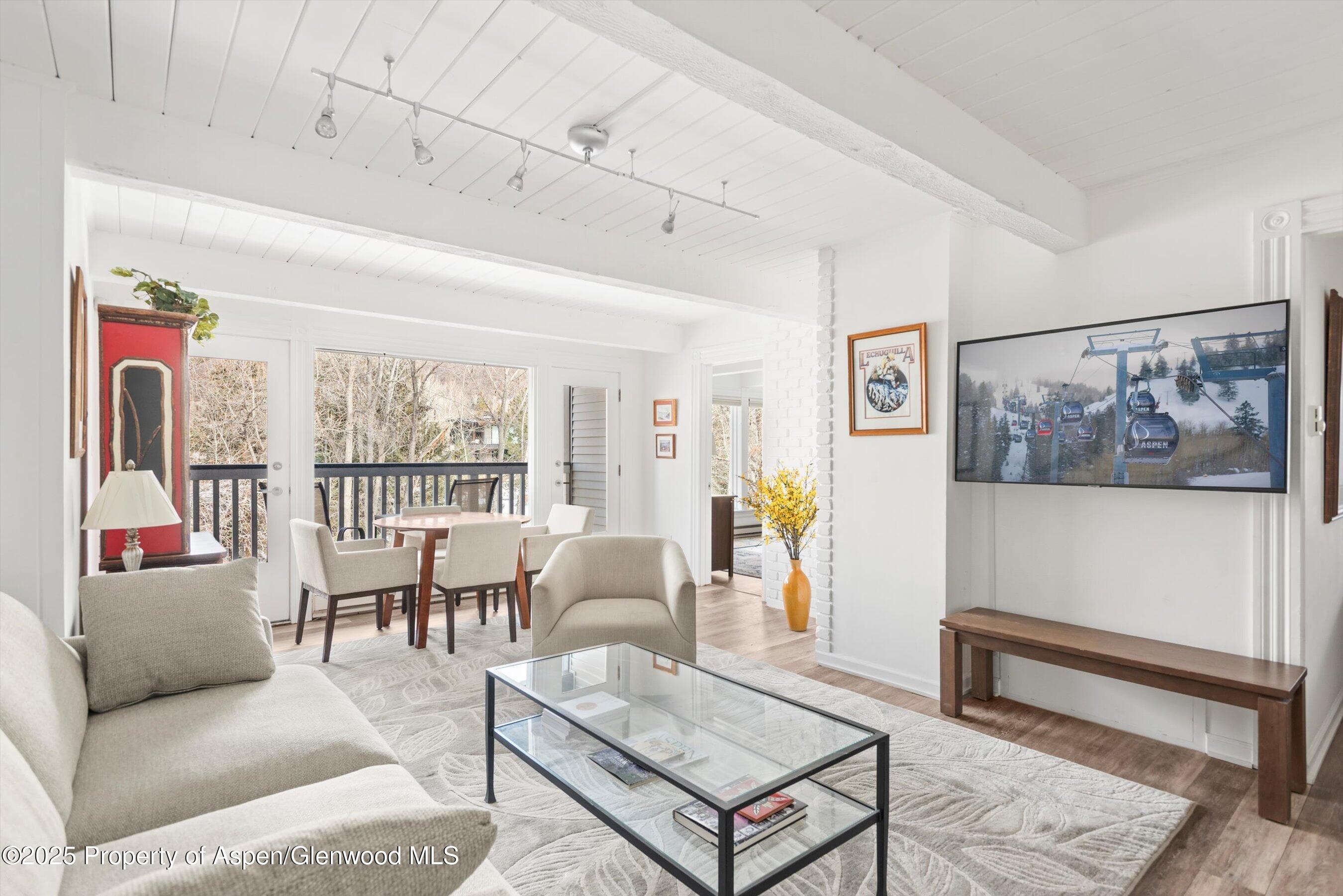 916 E Hopkins Avenue 204, Aspen, CO 81611