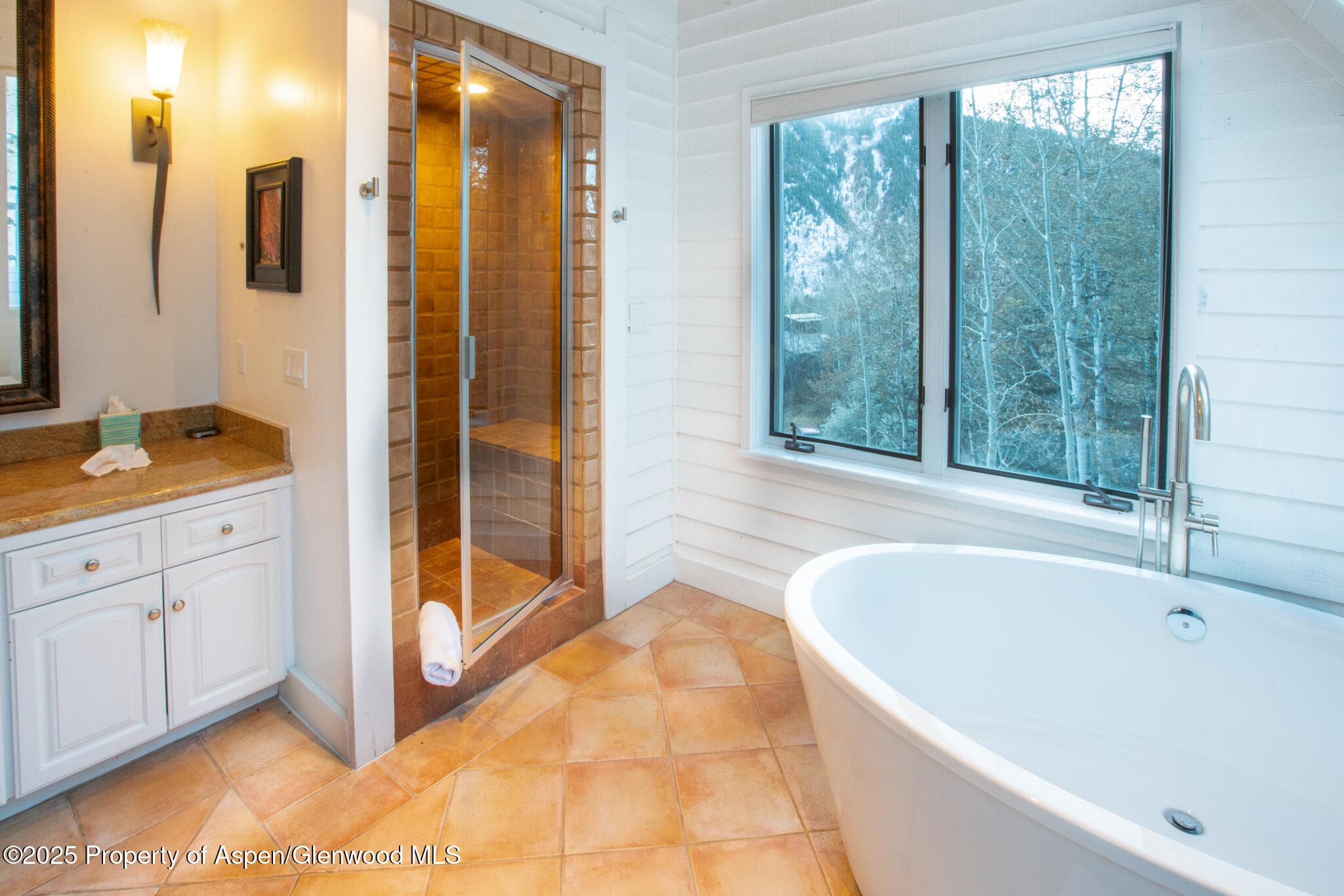 100 Mountain Laurel Court, Aspen, CO 81611 - Photo 12
