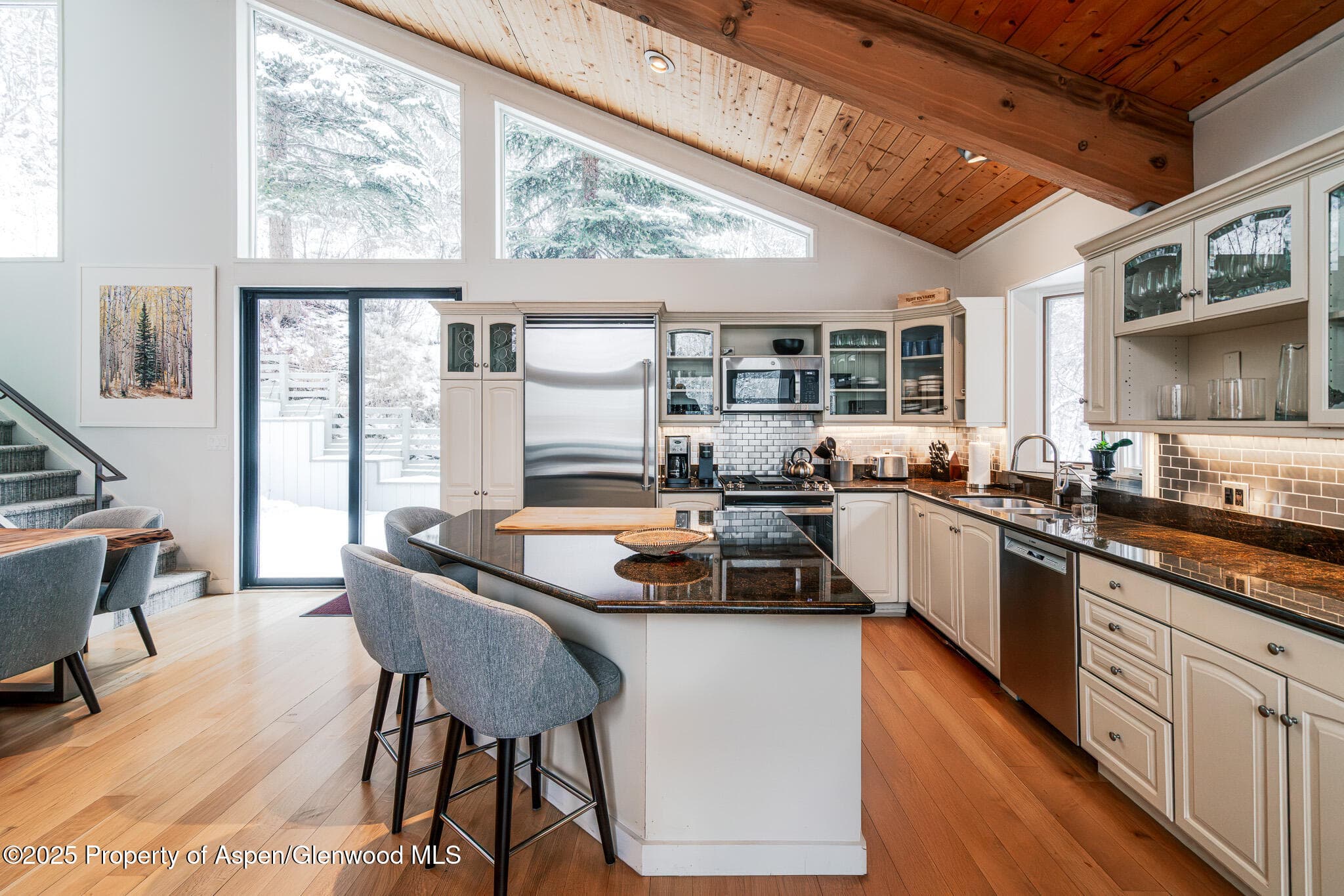 100 Mountain Laurel Court, Aspen, CO 81611 - Photo 5