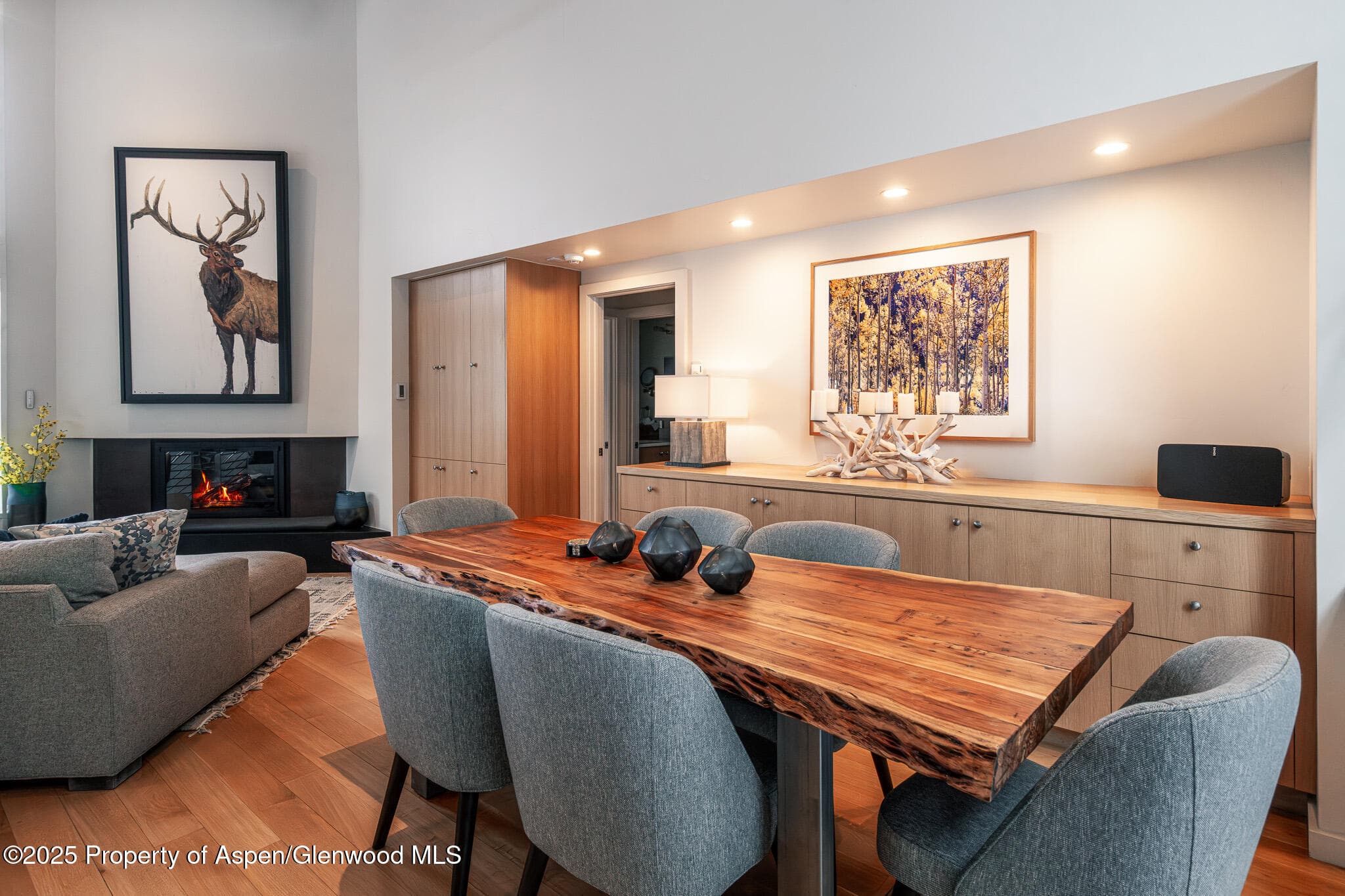 100 Mountain Laurel Court, Aspen, CO 81611 - Photo 4