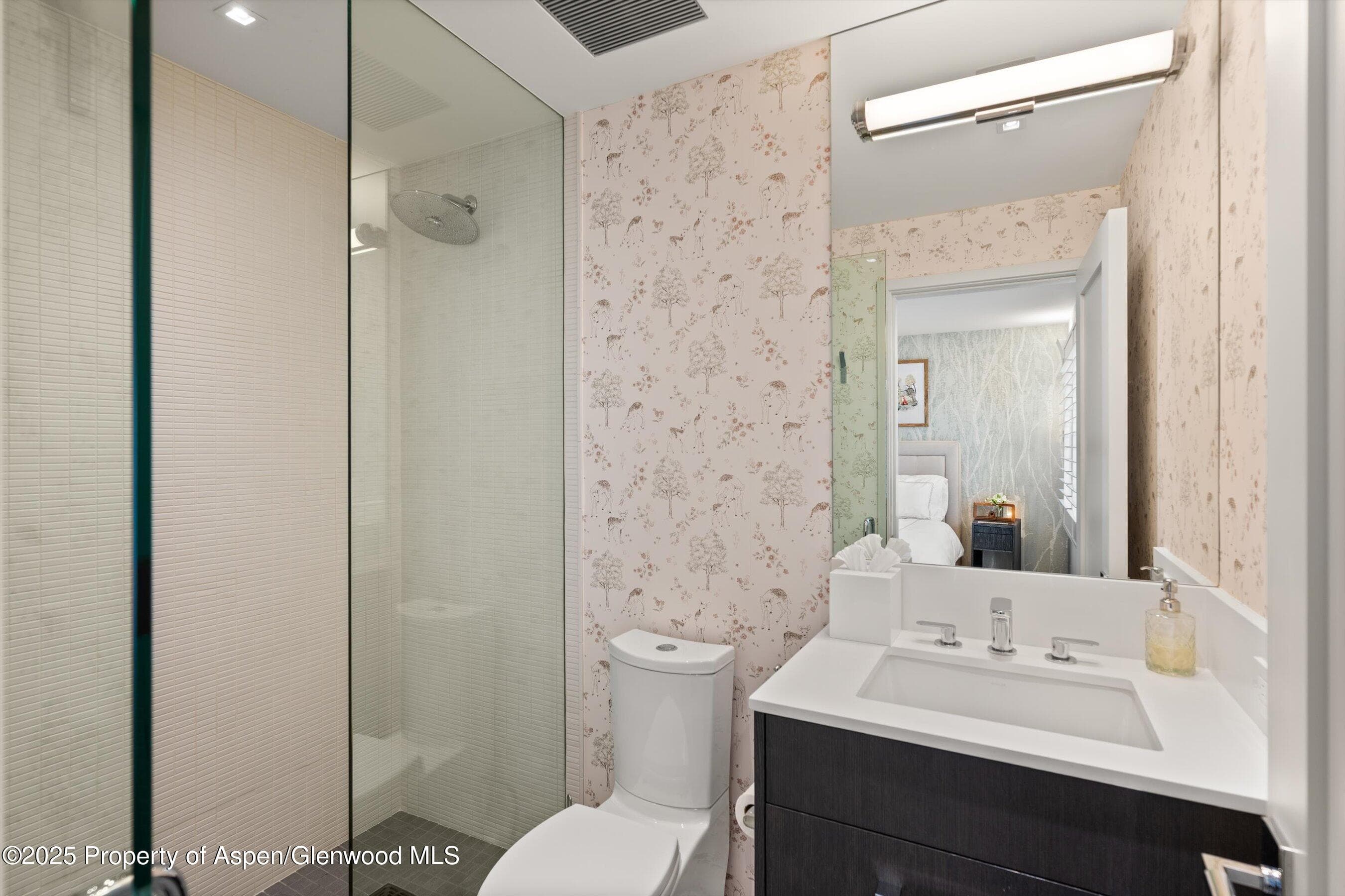 1001 E Cooper Avenue 2, Aspen, CO 81611 - Photo 14