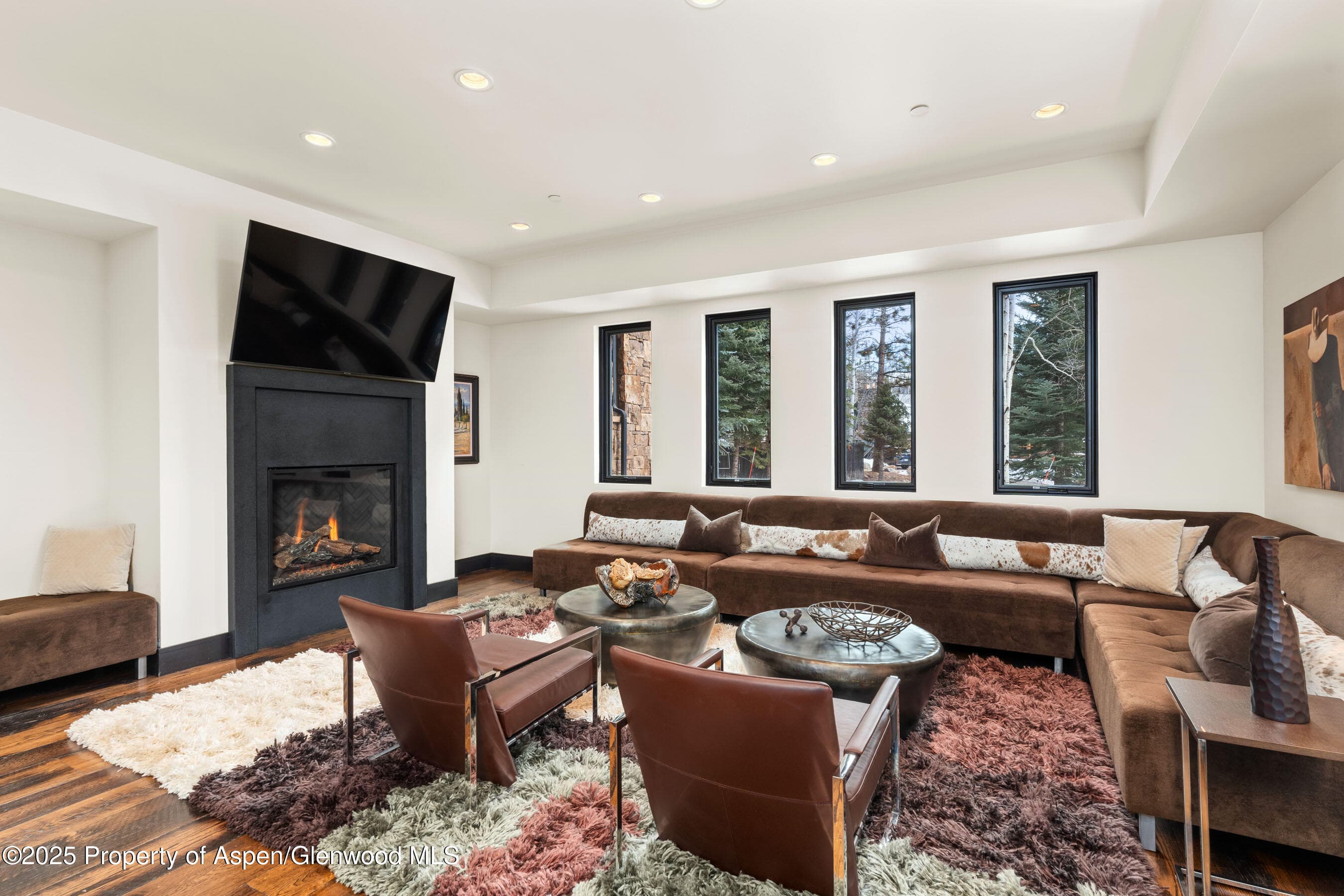 190 W Lupine Drive, Aspen, CO 81611 - Photo 12