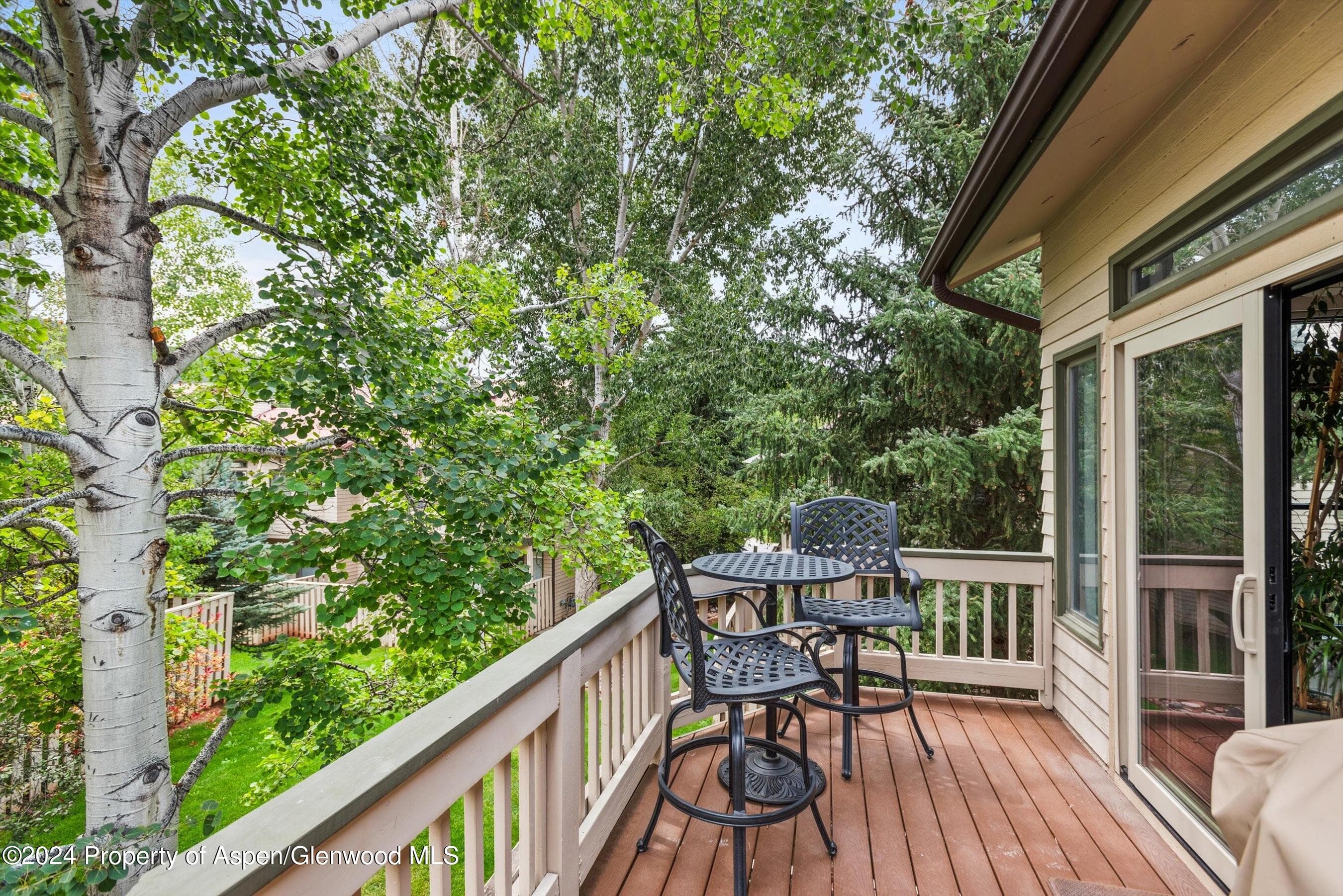 2024 Arbor Park Drive, Basalt, CO 81621 - Photo 5