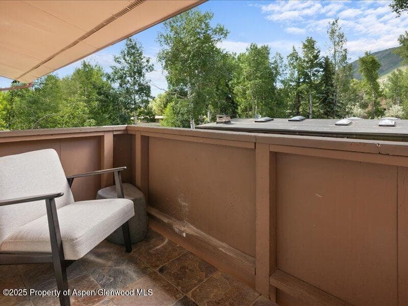 326 Midland Avenue 302, Aspen, CO 81611 - Photo 15