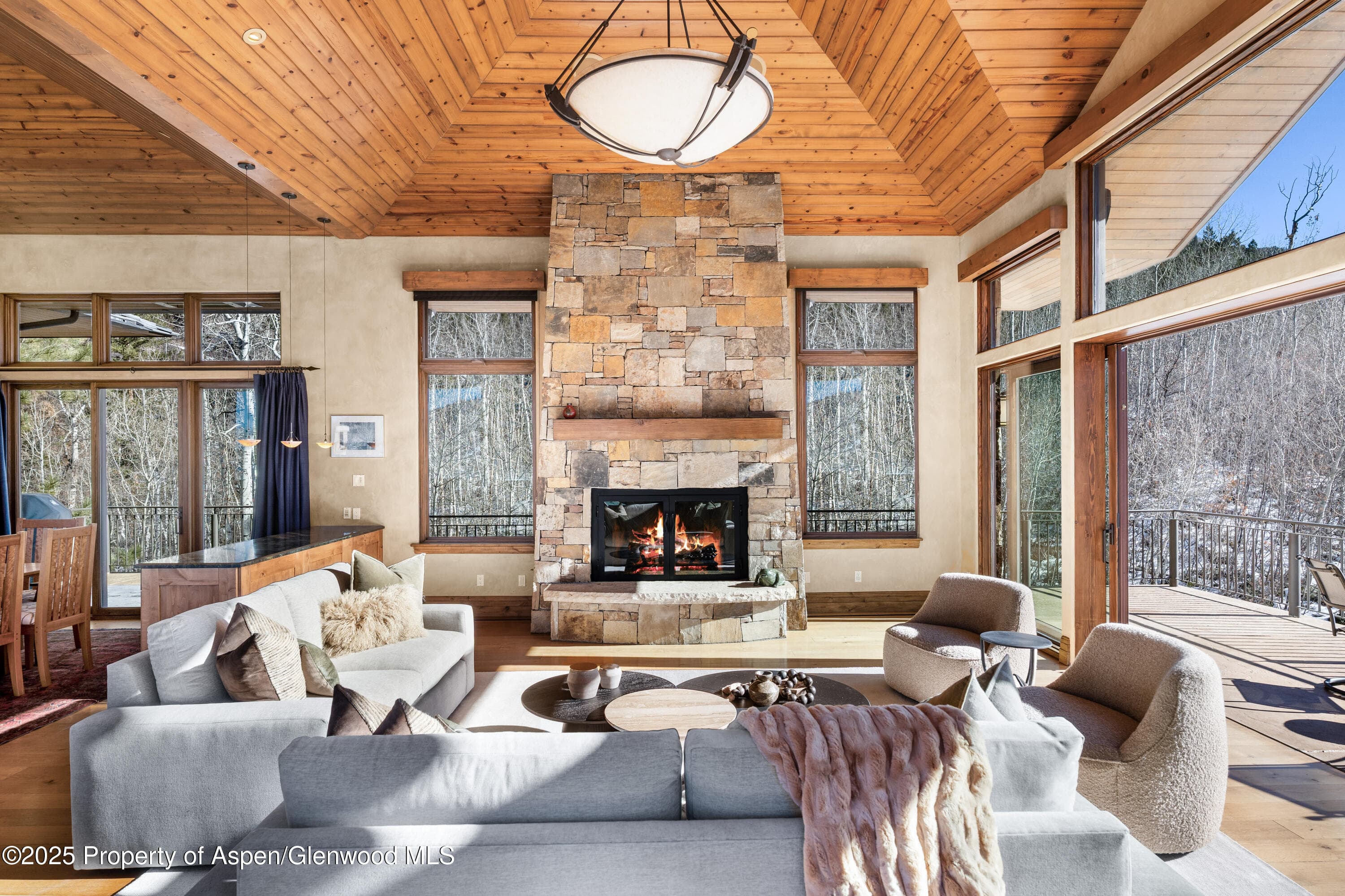 96 Mountain Laurel Court A, Aspen, CO 81611 - Photo 5