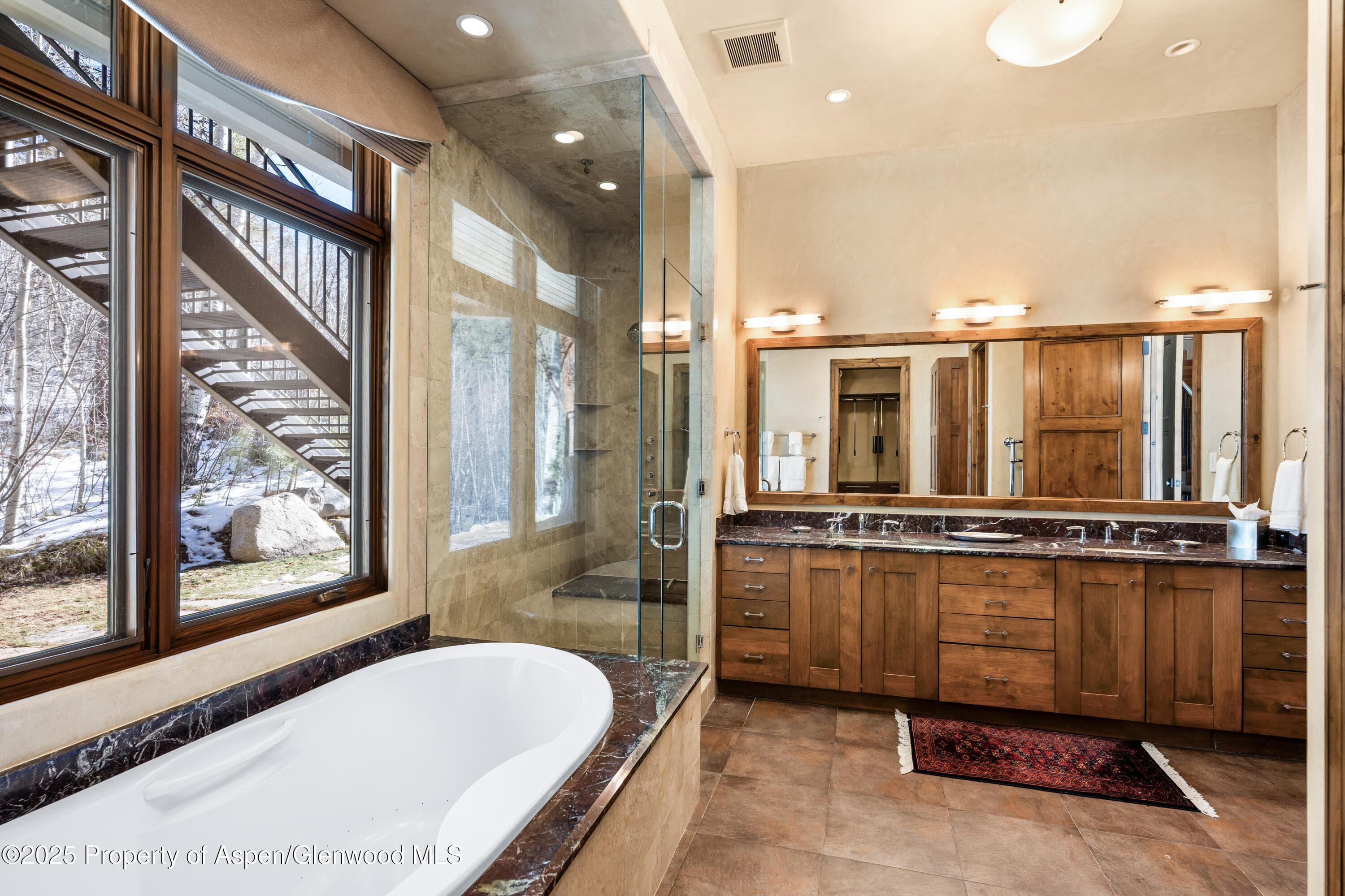 96 Mountain Laurel Court A, Aspen, CO 81611 - Photo 12
