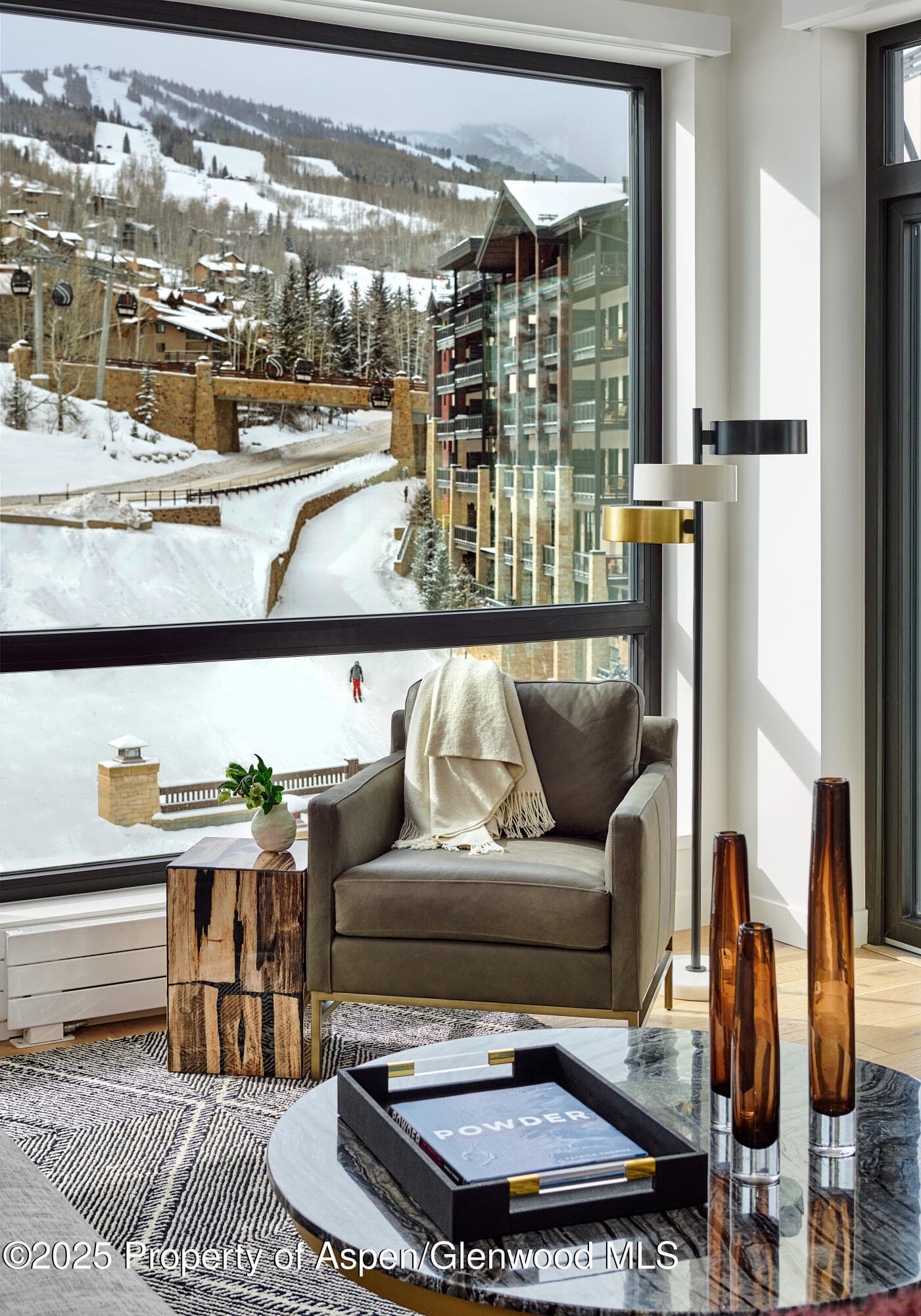 119 Wood Road 401, Snowmass Village, CO 81615 - Photo 6