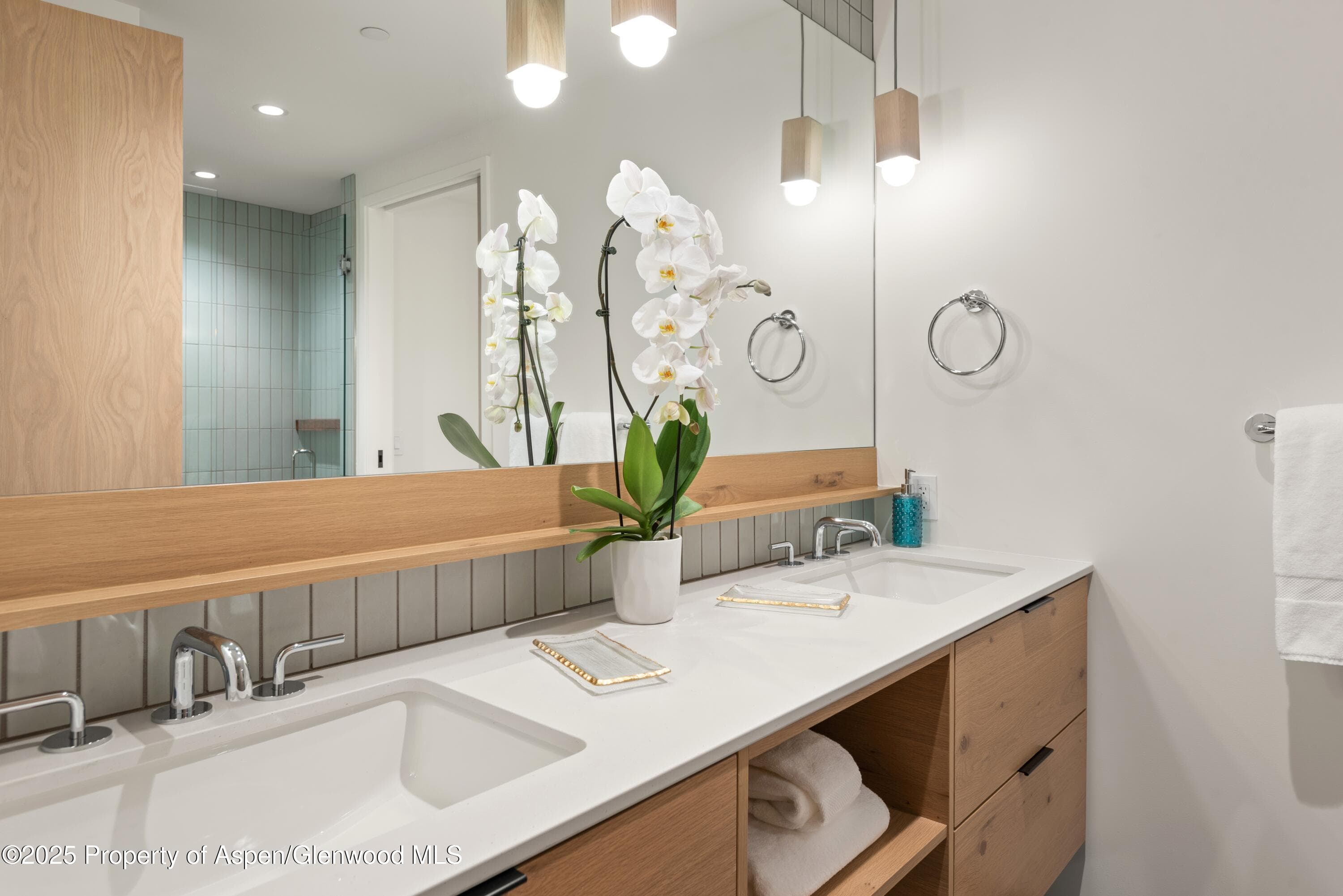 119 Wood Road 401, Snowmass Village, CO 81615 - Photo 20