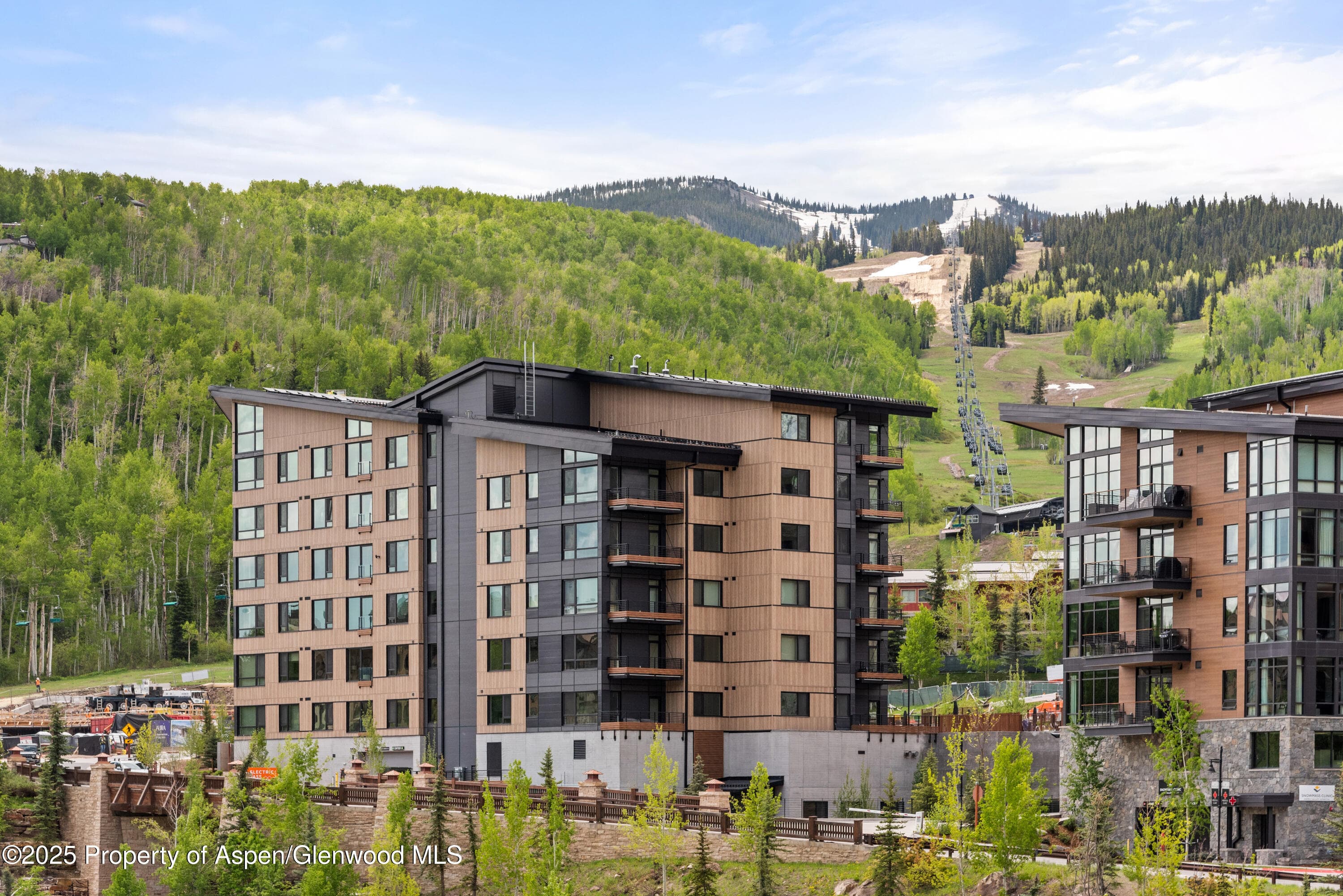 119 Wood Road 401, Snowmass Village, CO 81615 - Photo 27