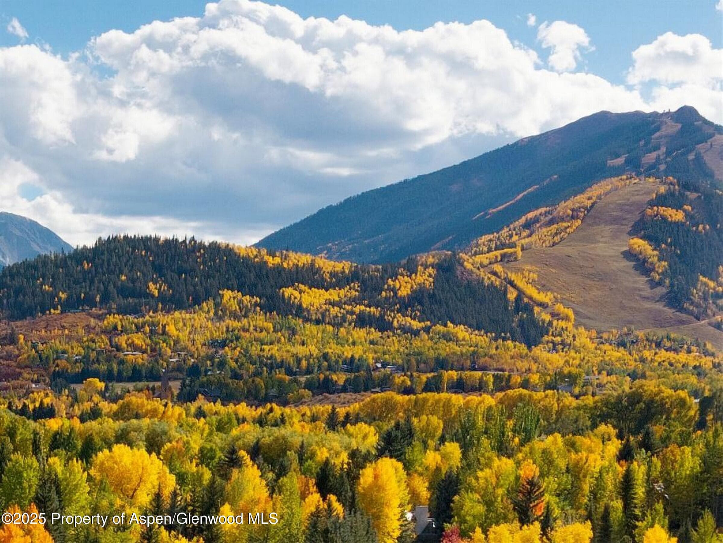 1050 Cemetery Lane, Aspen, CO 81611 - Photo 4