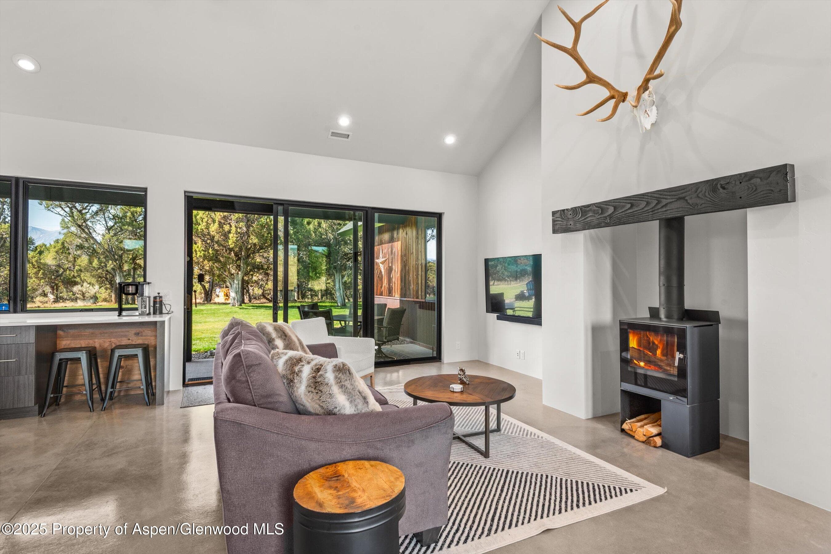 30 Sopris Lane, Carbondale, CO 81623 - Photo 14