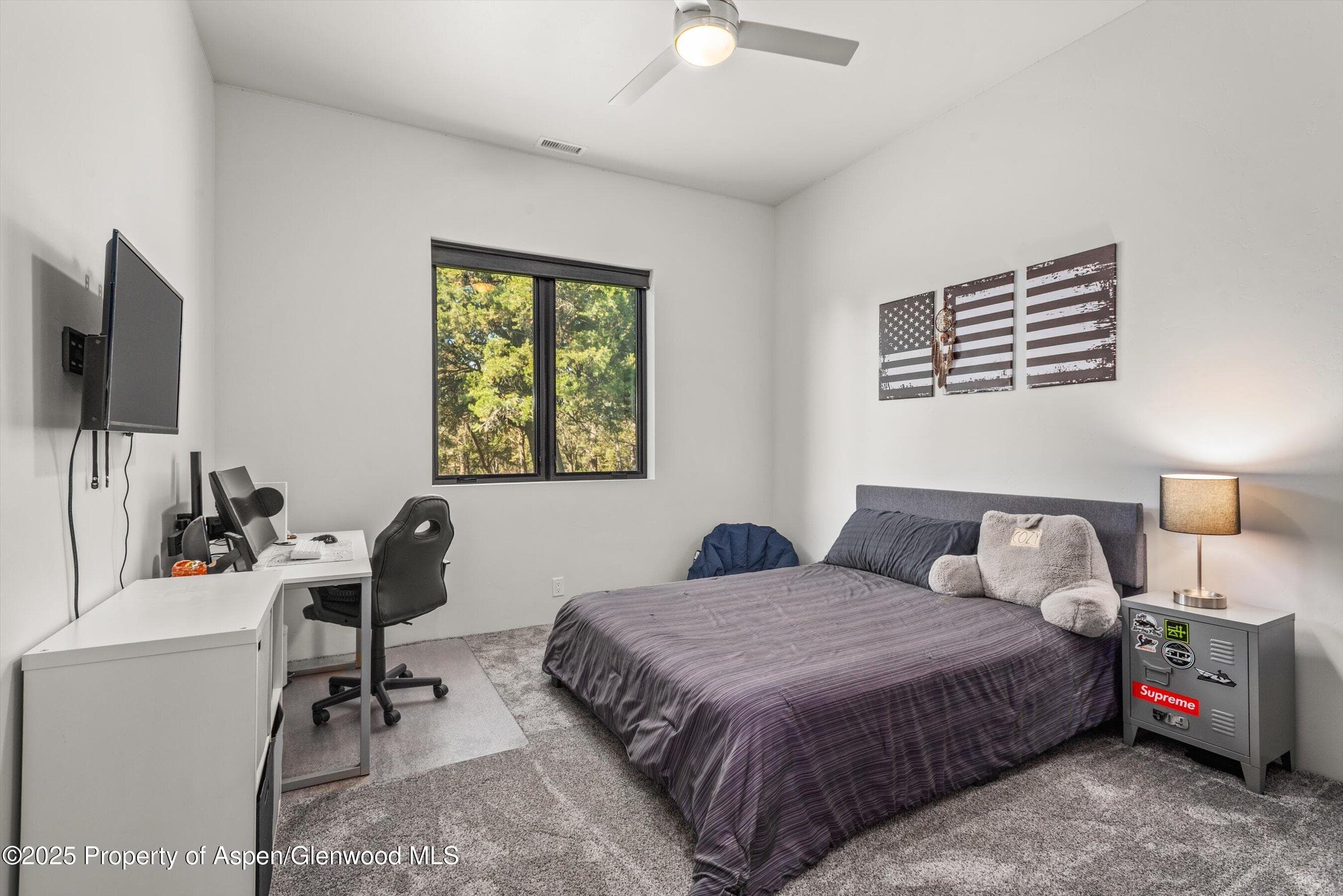 30 Sopris Lane, Carbondale, CO 81623 - Photo 36