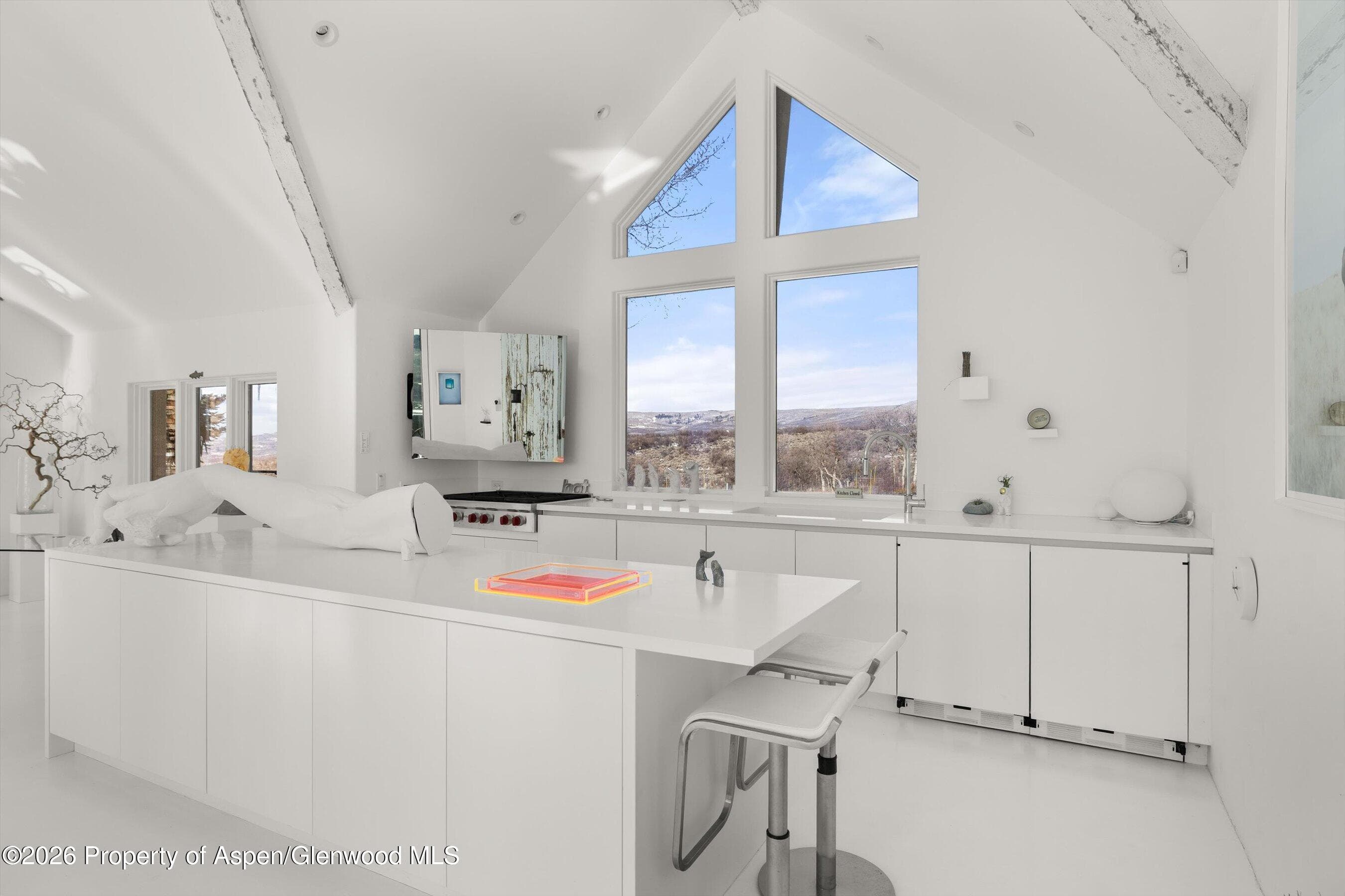 2103 Ten Peaks Mesa Road, Carbondale, CO 81623 - Photo 12