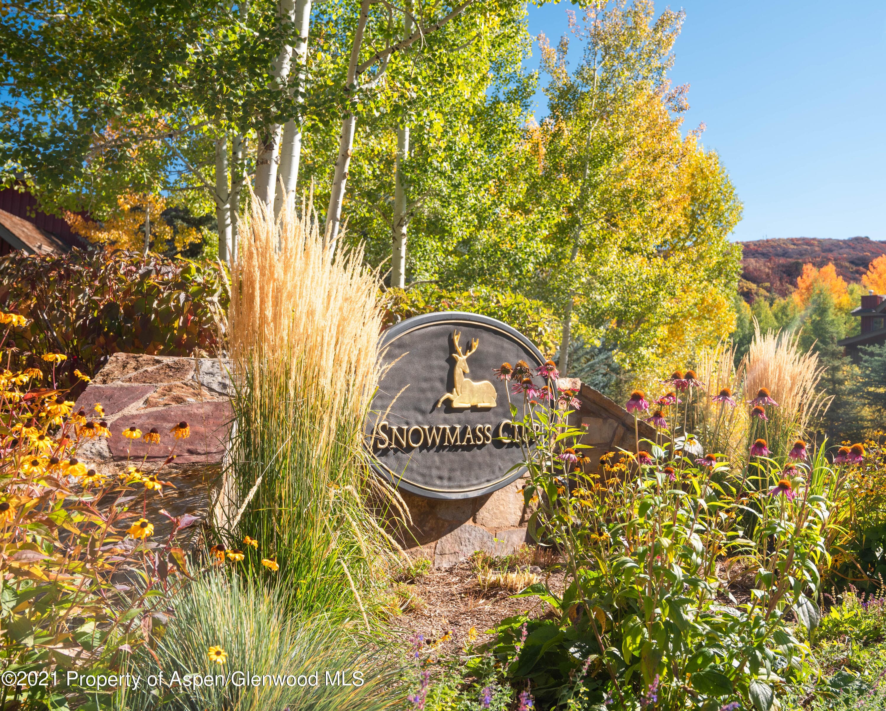 0134 Snowmass Club 150, Snowmass Village, CO 81615 - Photo 26