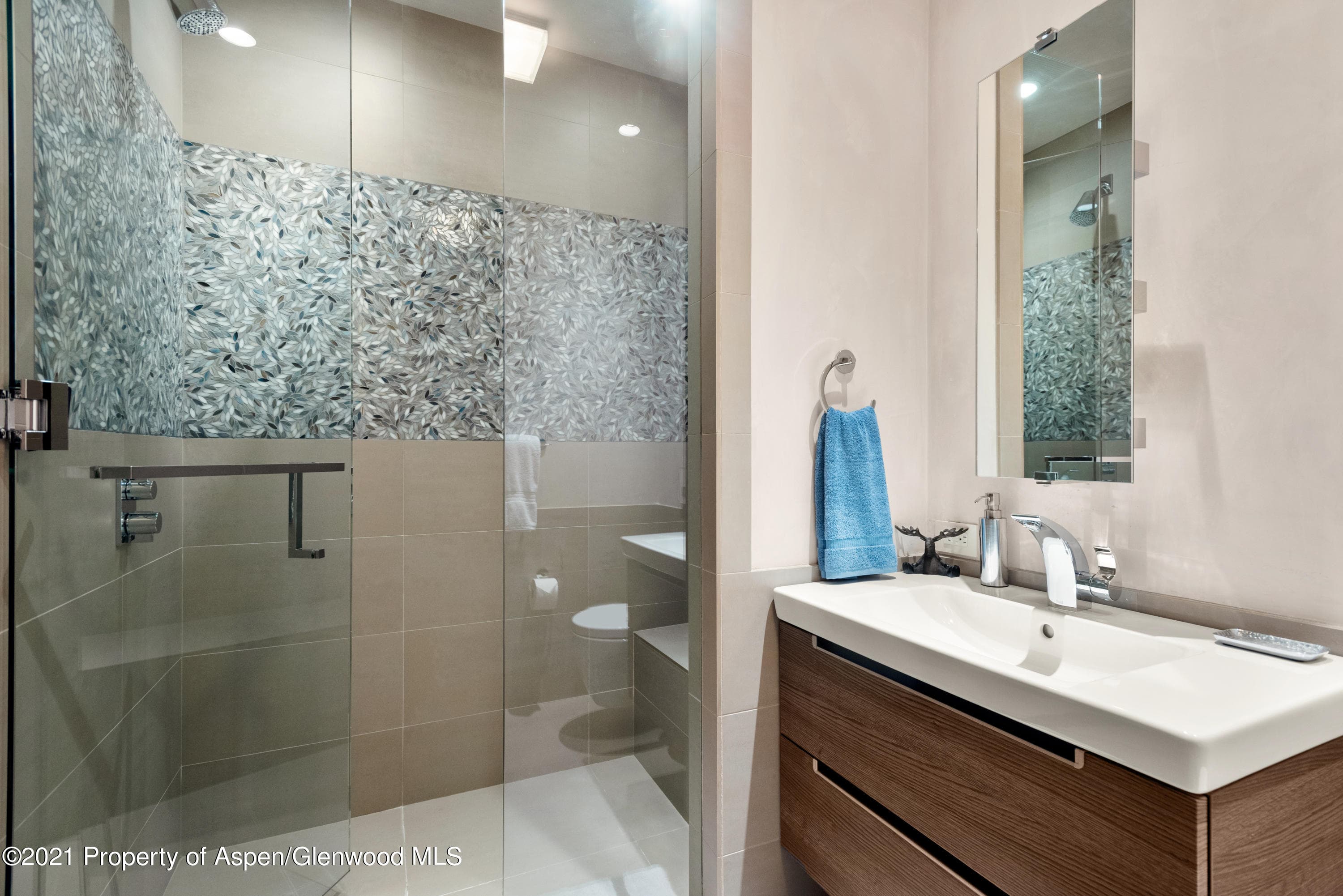 727 E Hopkins Avenue A, Aspen, CO 81611 - Photo 16