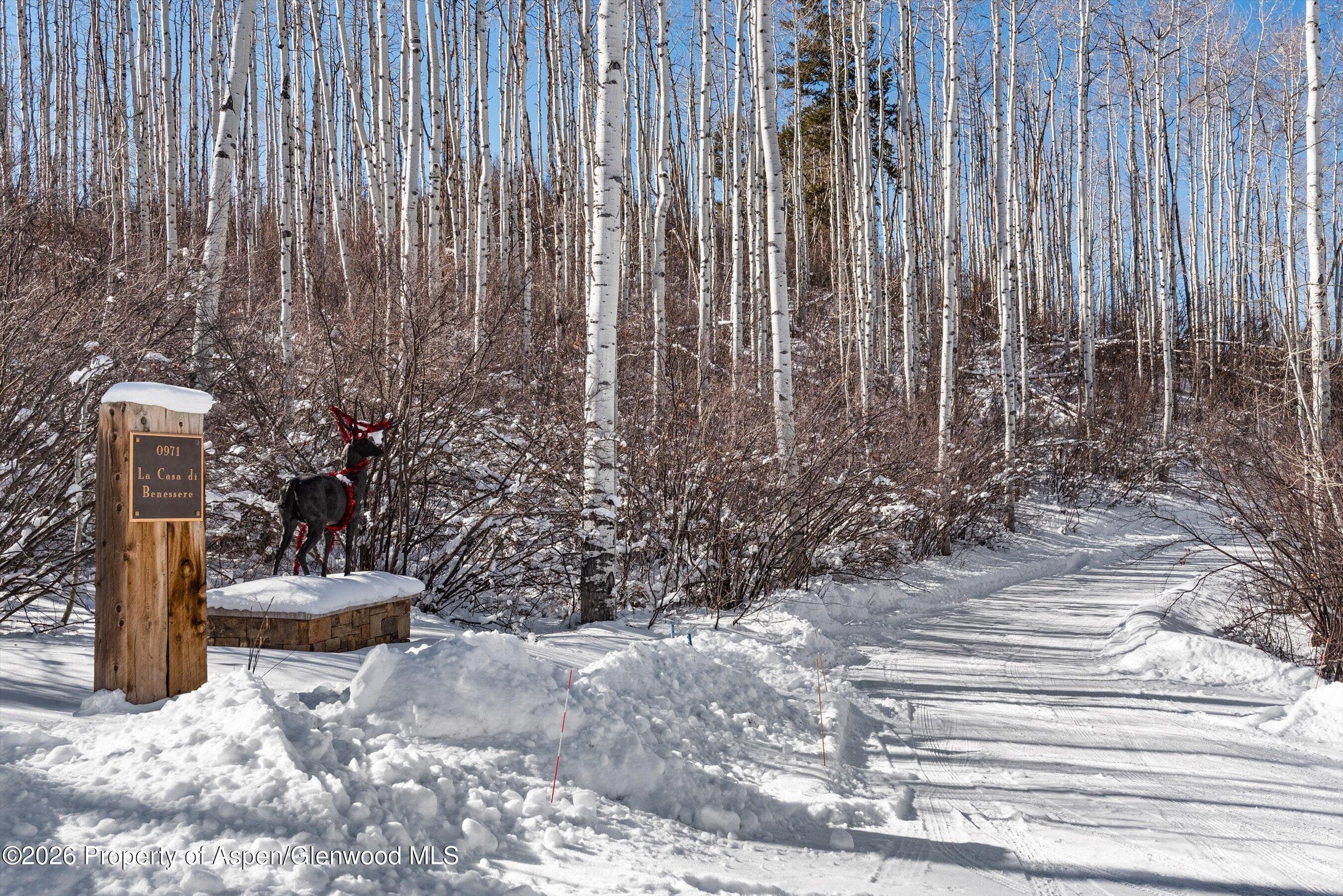 971 Cluny Road, Aspen, CO 81611 - Photo 2