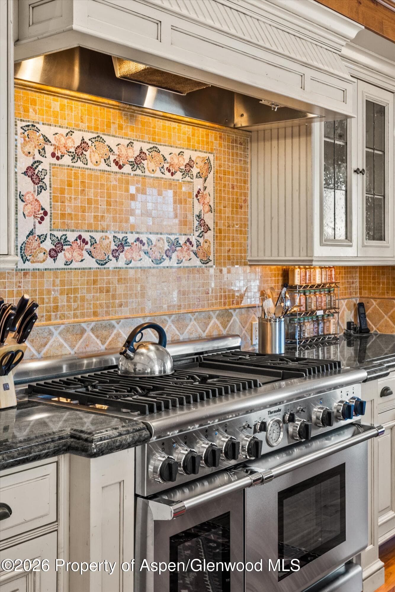 971 Cluny Road, Aspen, CO 81611 - Photo 12