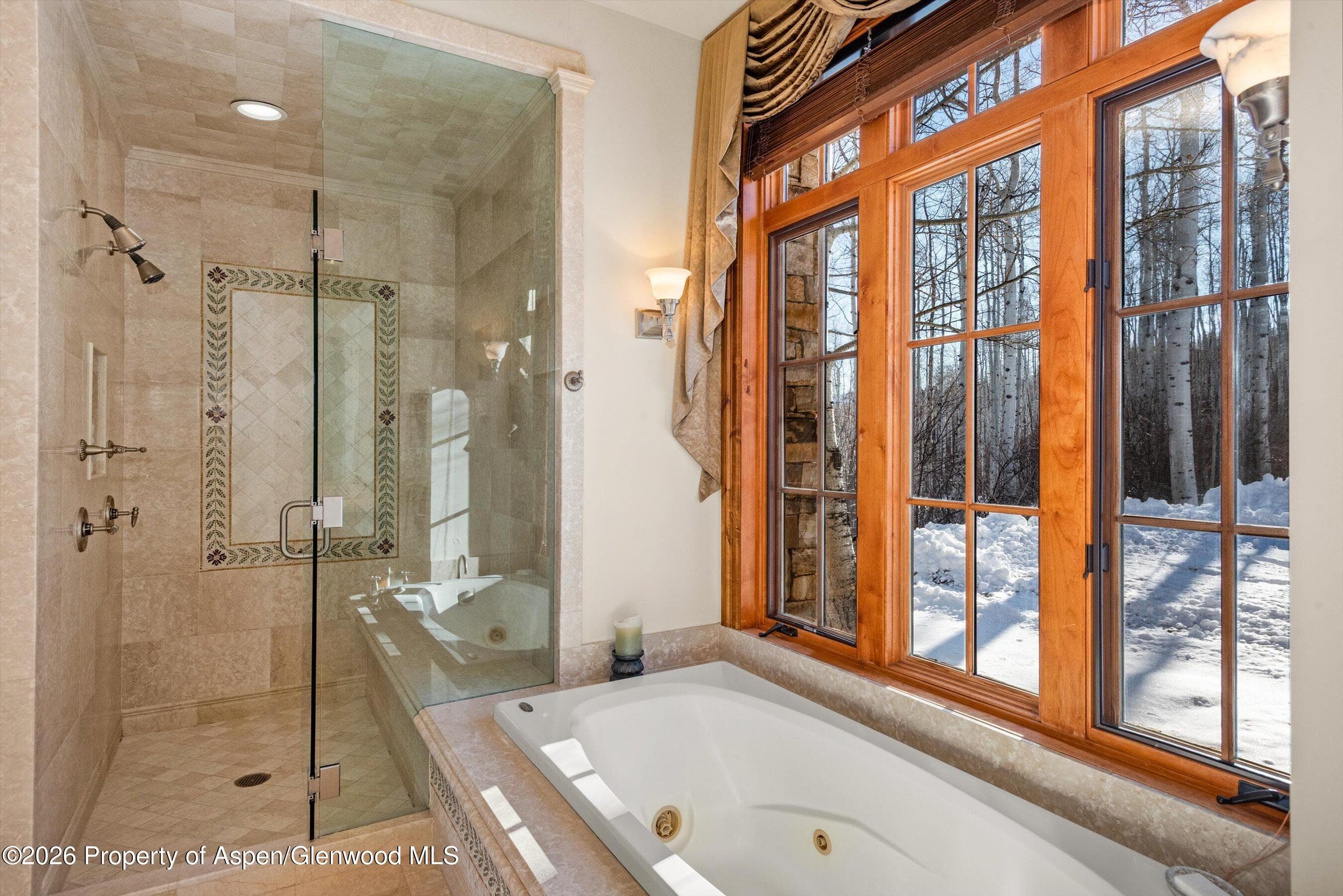 971 Cluny Road, Aspen, CO 81611 - Photo 21