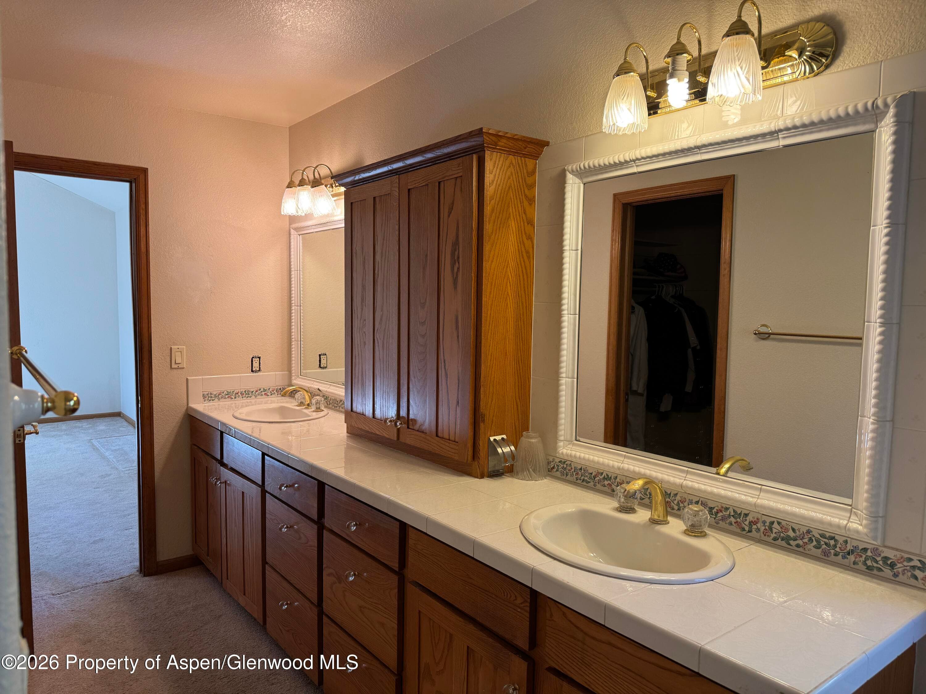 740 Hearthstone Drive, Basalt, CO 81621 - Photo 8